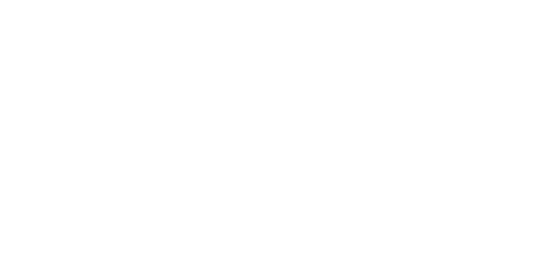 Skaneateles History Society