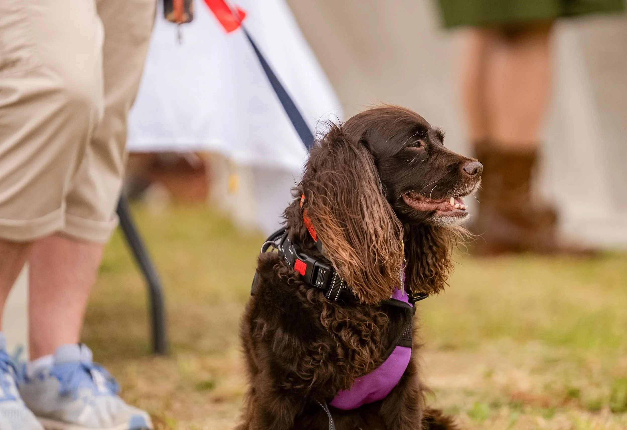 LowcountrySeriesFinals-583.jpg