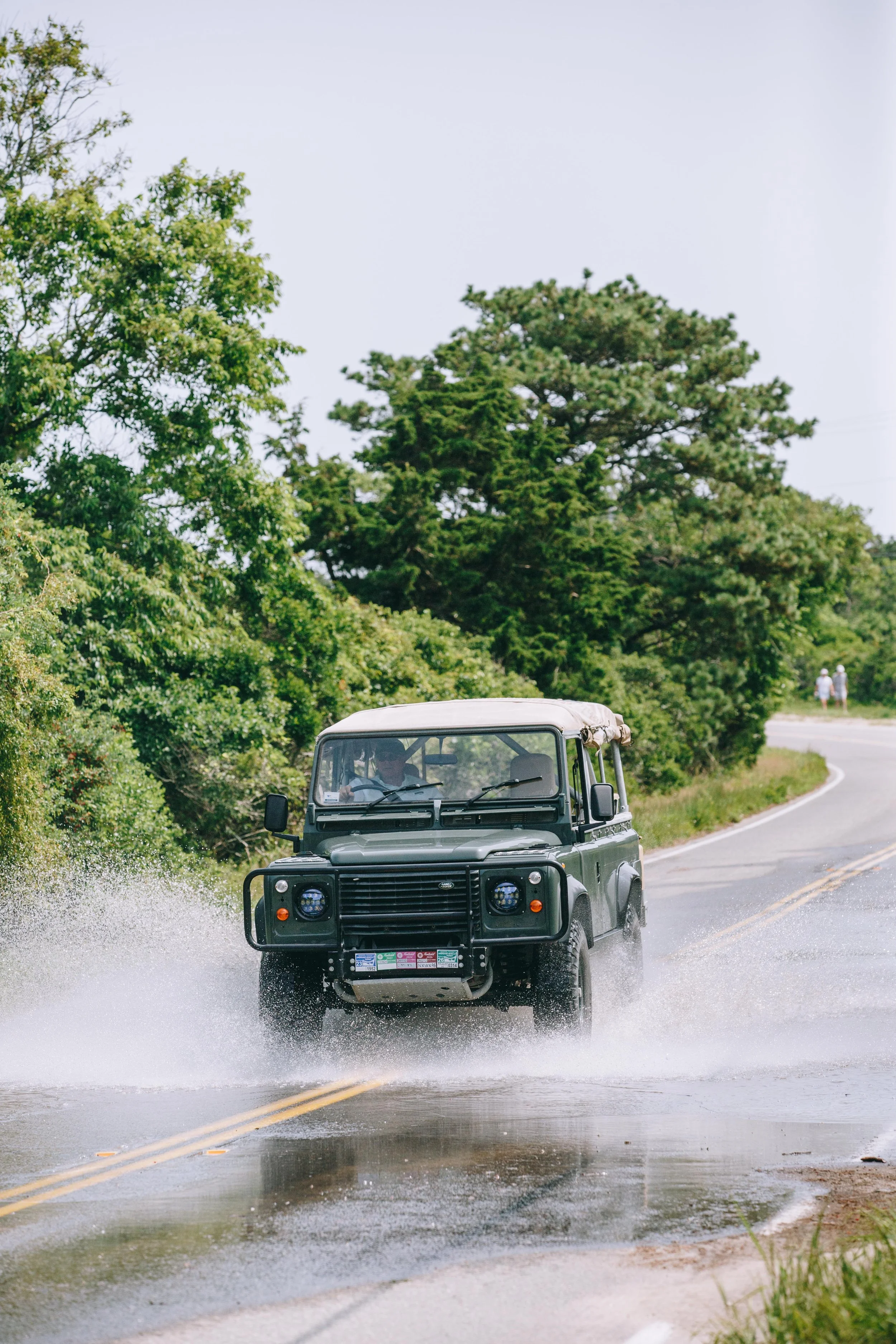 SF1A2713.jpg