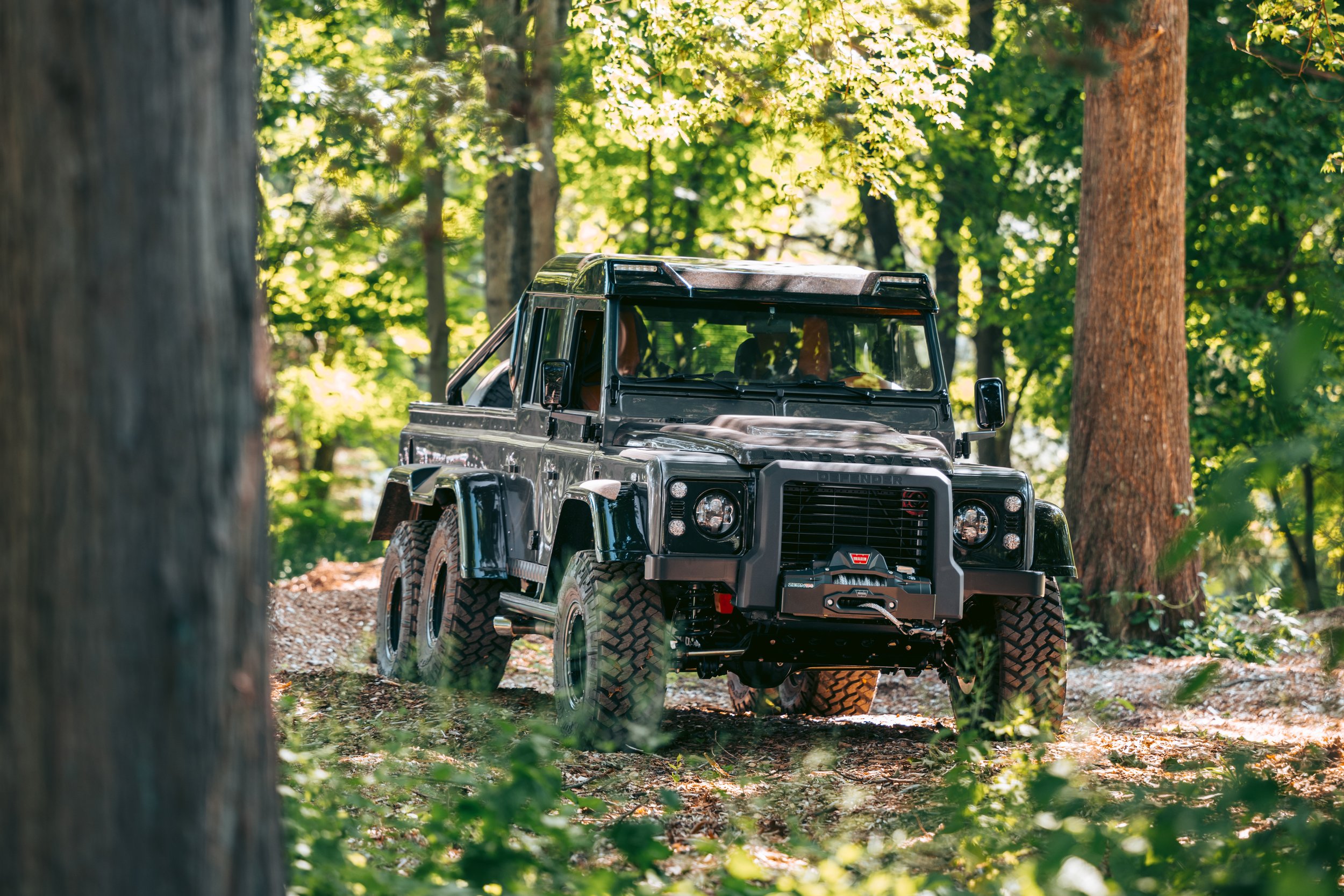 DSC_7878-2.jpg
