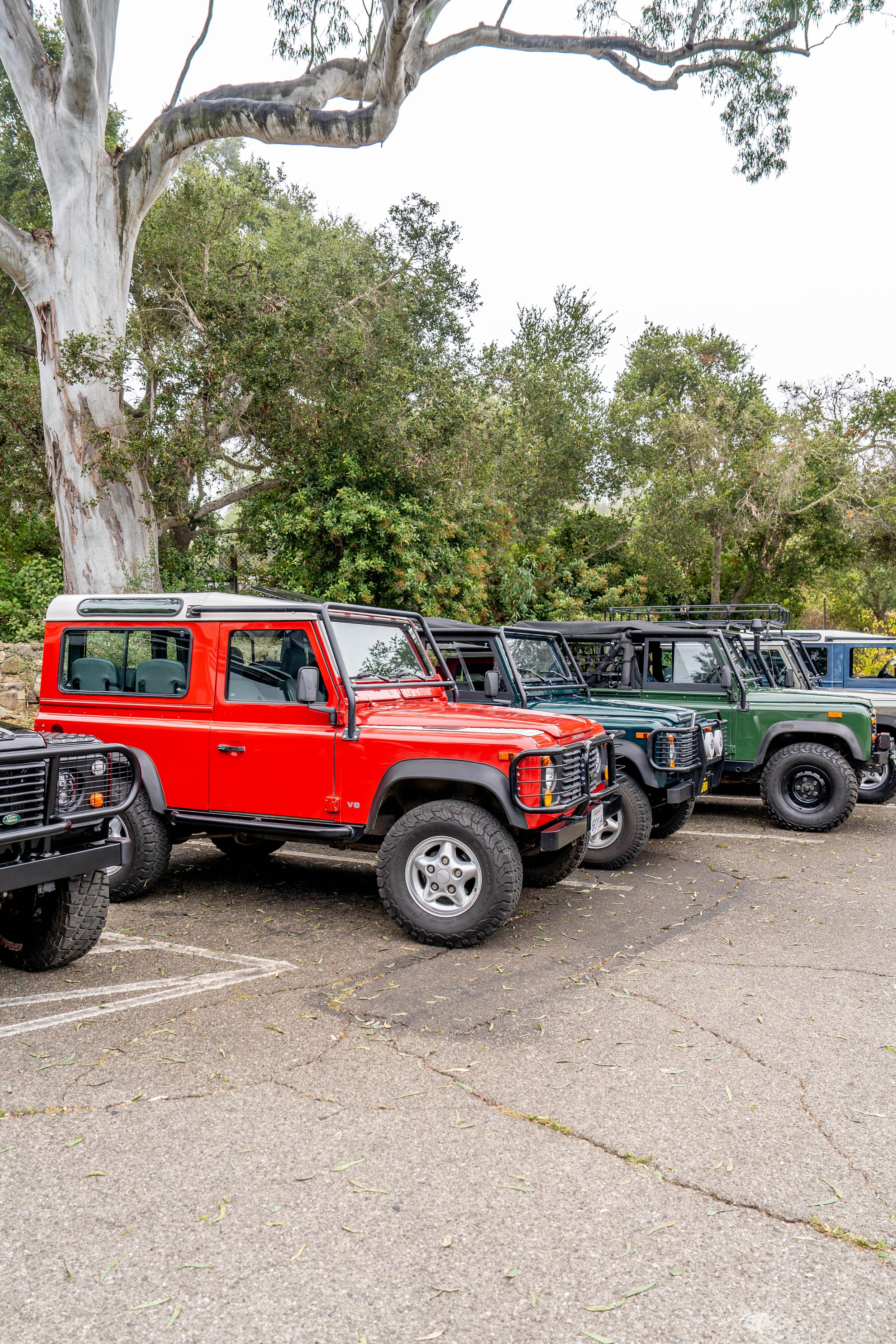 1994 Defender 110-503.jpg