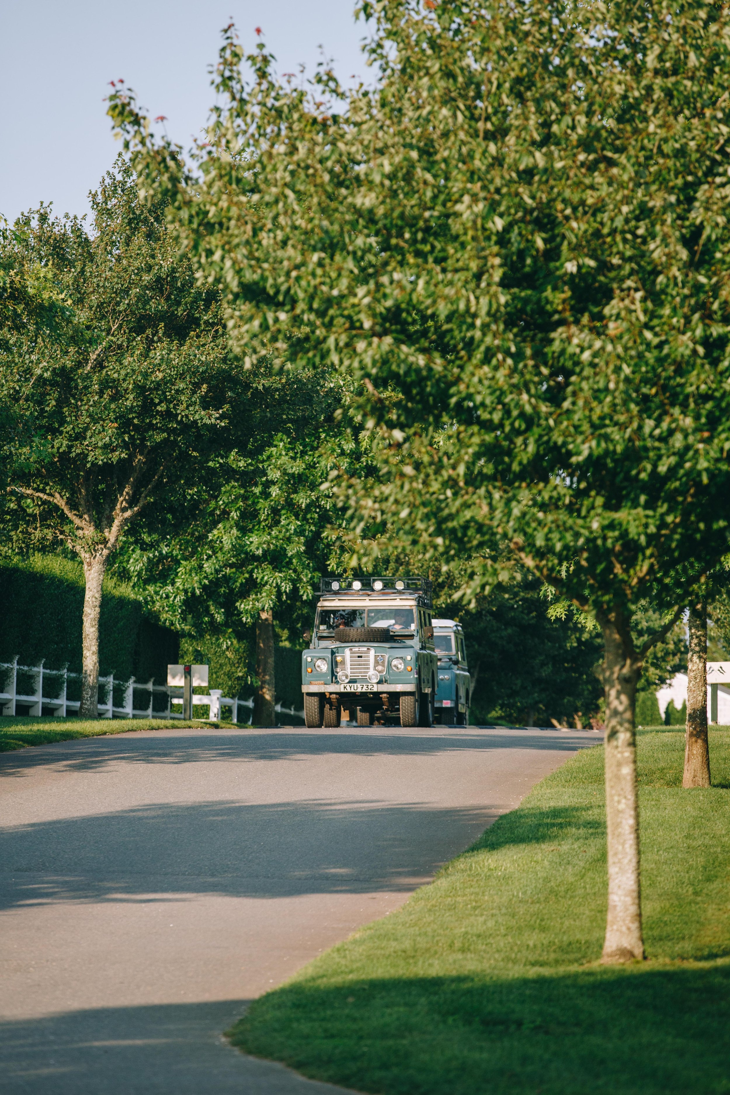 SF1A8013.jpg