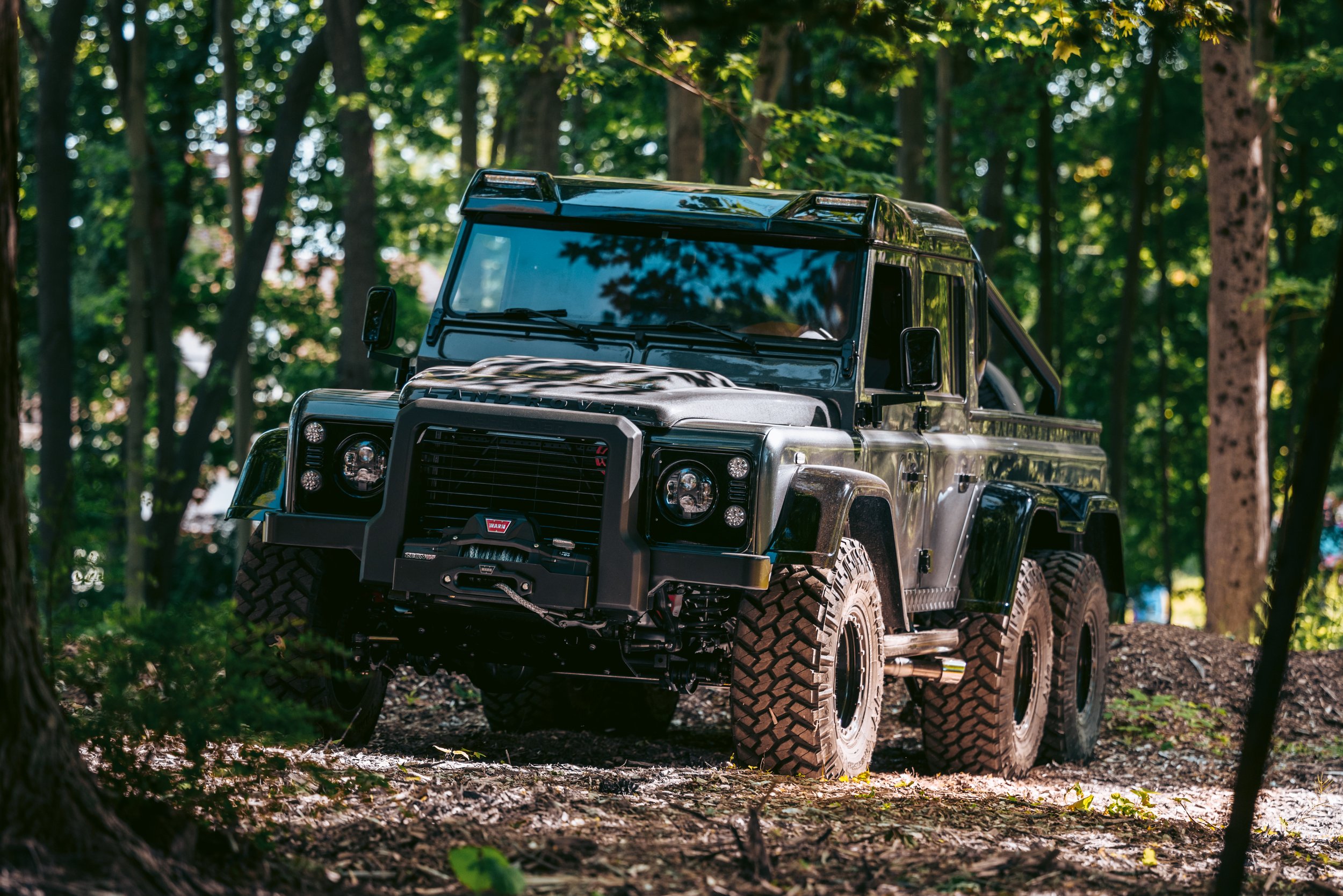 DSC_8246-2.jpg