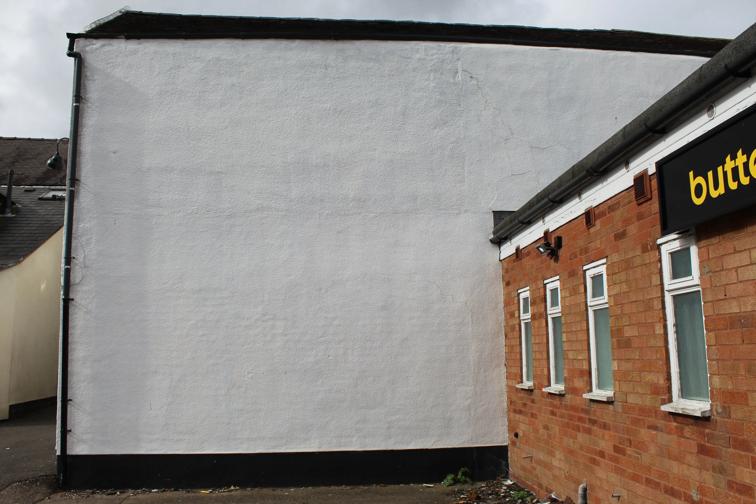 Burnt savannah mural 1.JPG