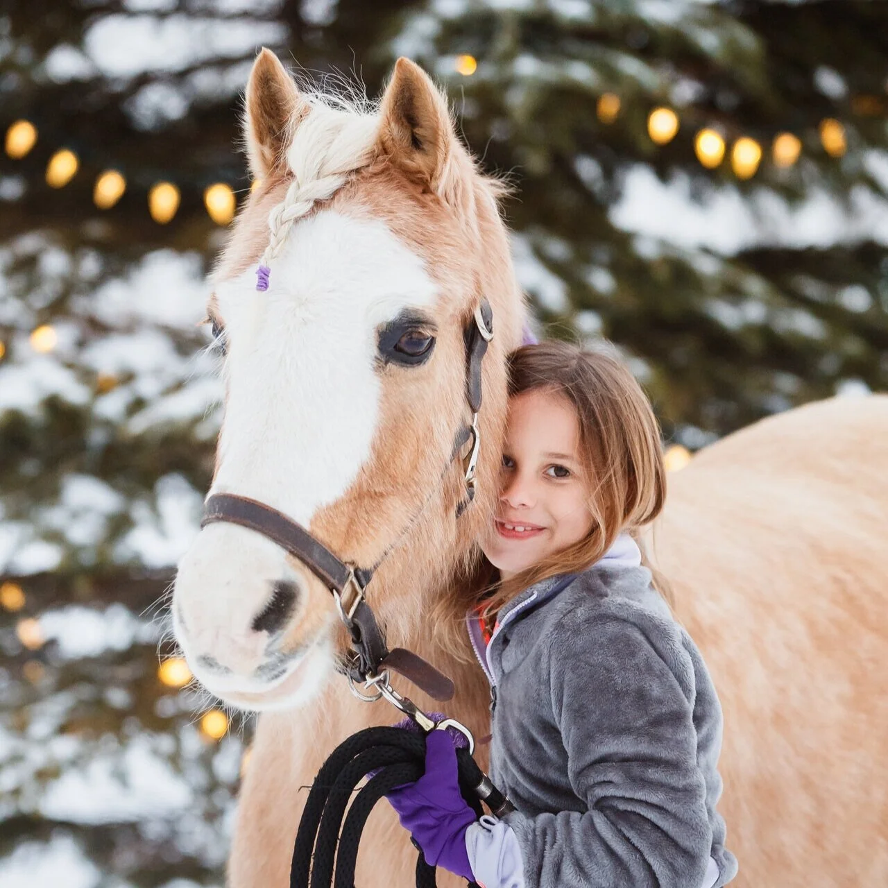 FAMILY HORSES — EYE CANDY JUMPERS