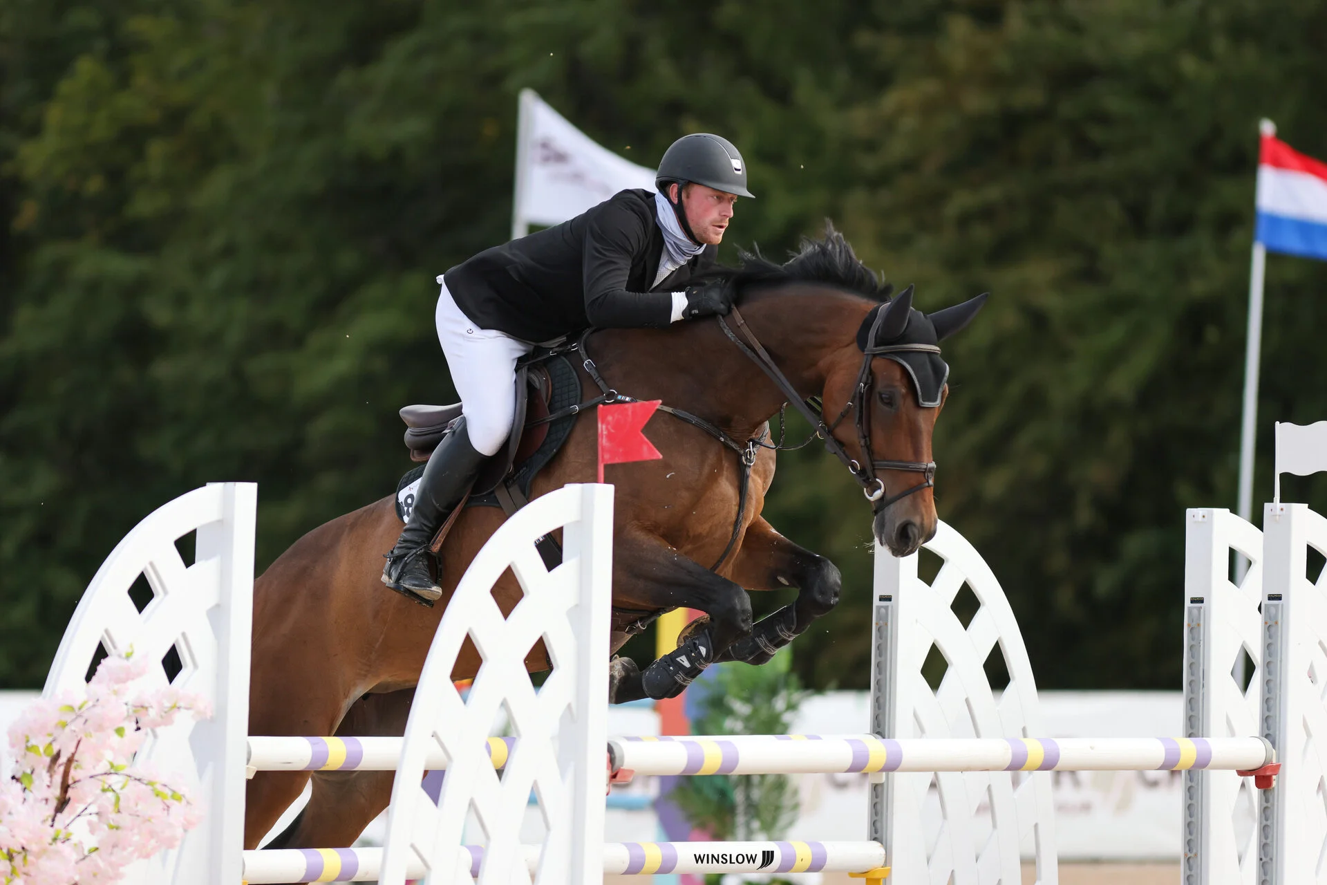 Wildflower — EYE CANDY JUMPERS