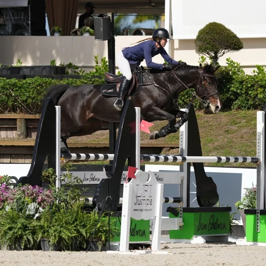 SPORTHORSES — EYE CANDY JUMPERS