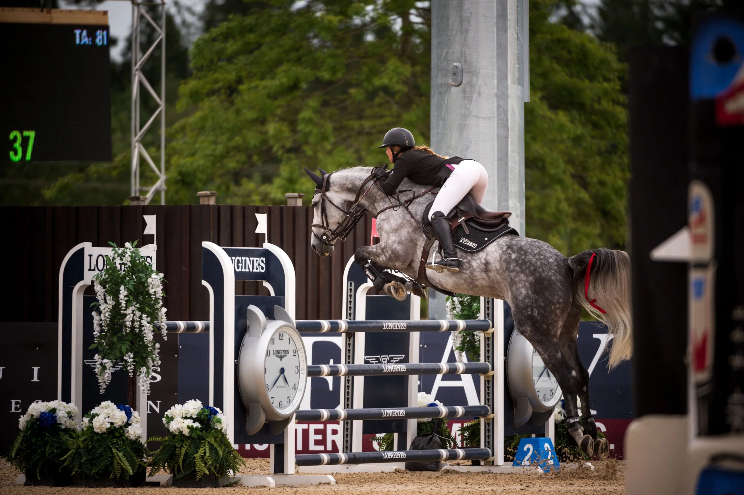 Cocky — EYE CANDY JUMPERS