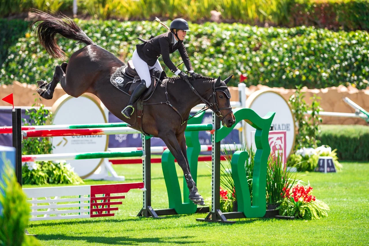 SPORTHORSES — EYE CANDY JUMPERS