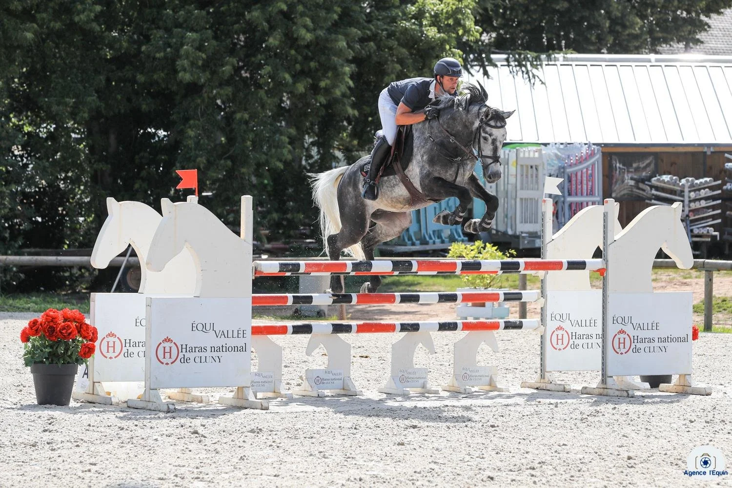 Cocky — EYE CANDY JUMPERS