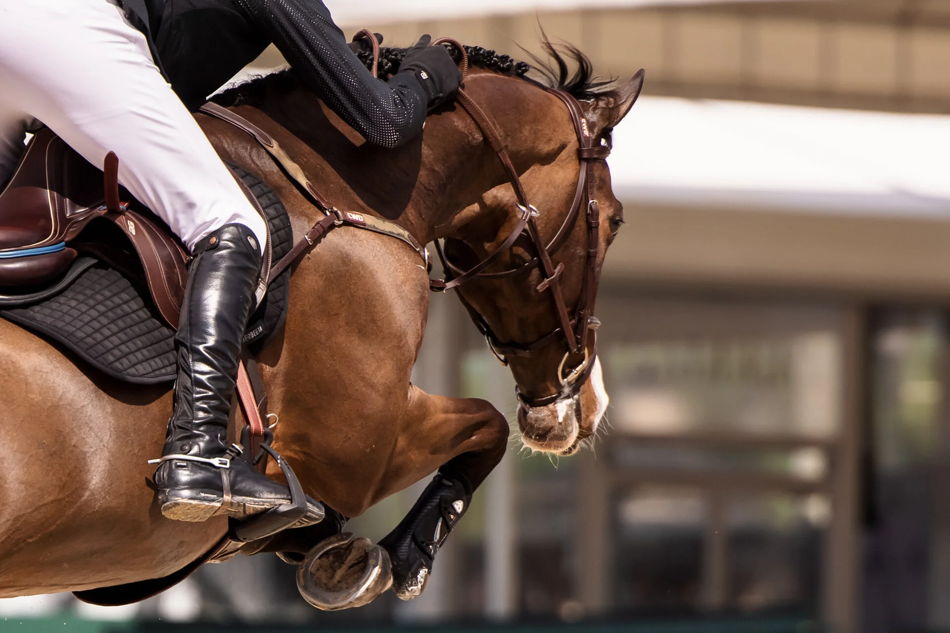 MEDIA — EYE CANDY JUMPERS