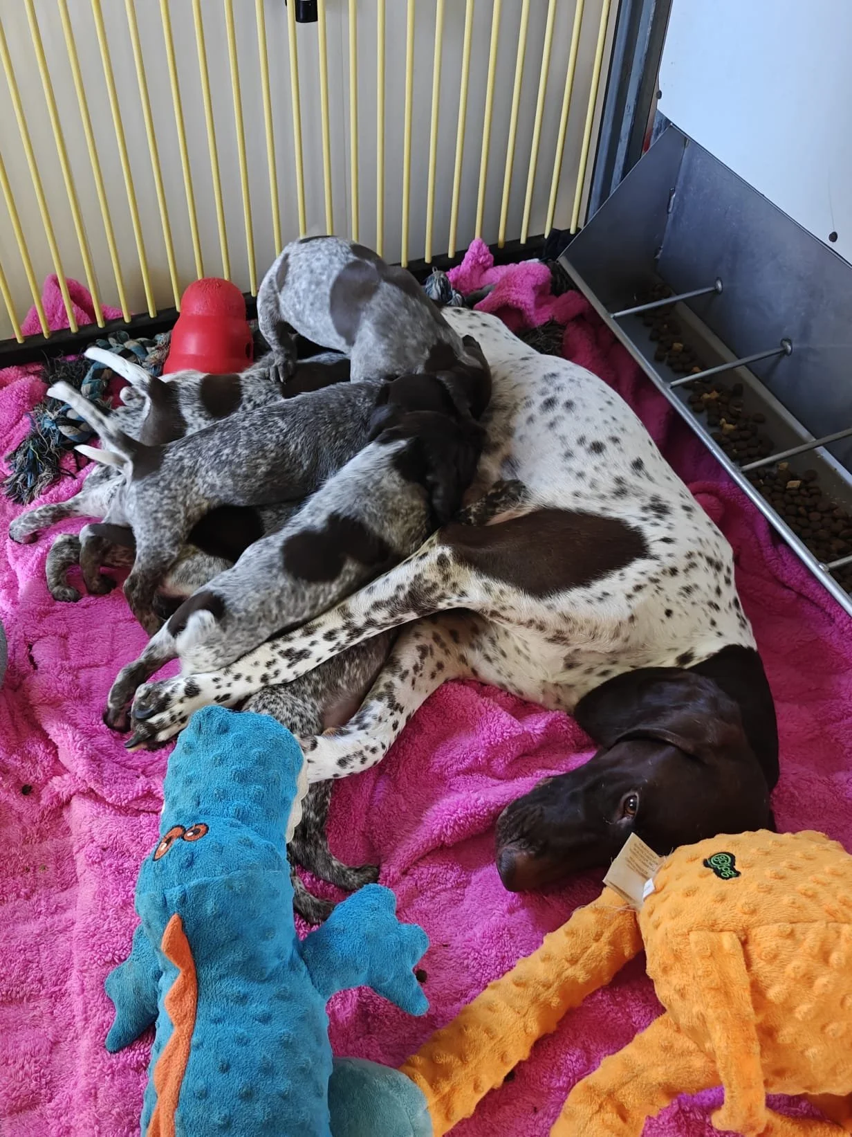 WhatsApp Image 2025-09-22 at 13.21.40.jpeg