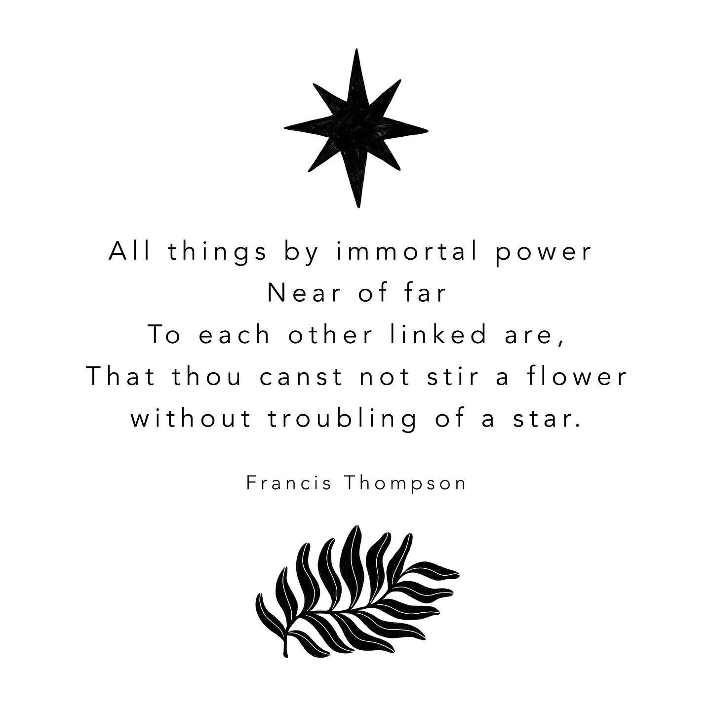 Everything is present in everything, and we are all connected. 

~ All is waves, 
with nothing waving, 
over no distance at all. ~

✩
✩
✩
✩
#quantumhealing #quantumentanglement #quantumconsciousness #consciousness #holistichealing #psychicsofinstagra