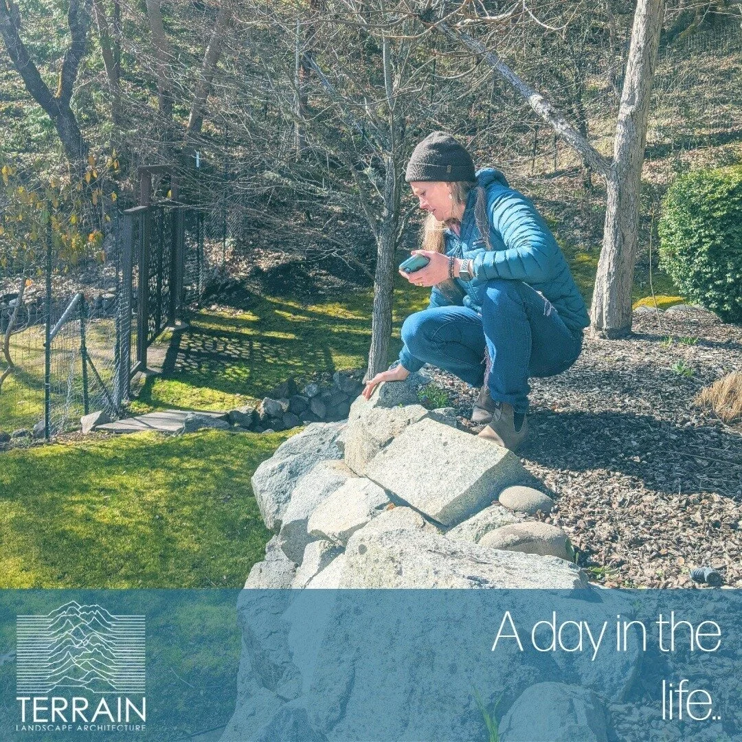 As landscape architects, we get to know our client's properties intimately! We measure, draw, climb some cliffs, and measure again to make sure we understand the needs of the site!