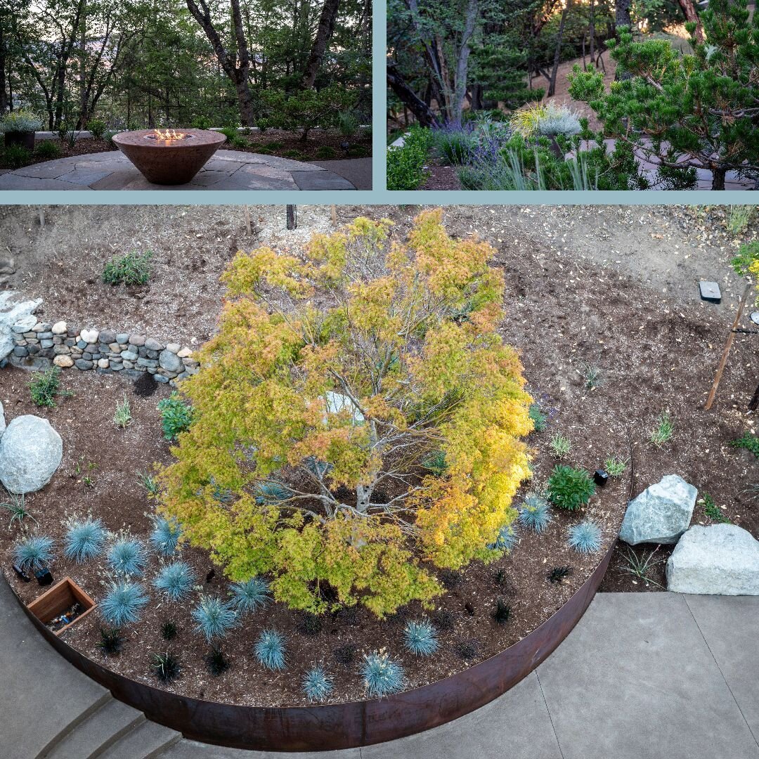 This Ashland residential design from 2021 featured sweeping corten steel planters, sinuous concrete paving, and contemporary Rogue Valley plant palette.  #throwbackthursday #landscapearchitecture #highendresidential