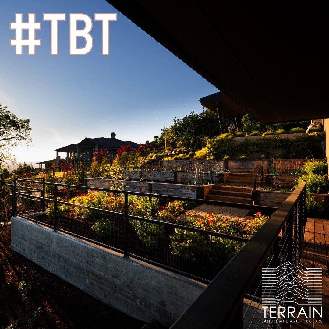 #ThrowBack to one of our earliest High End Residential Projects in Ashland.  This garden maximizes growing and lounge space on that sweet sunny spot some Ashland hillside owners are lucky to have!