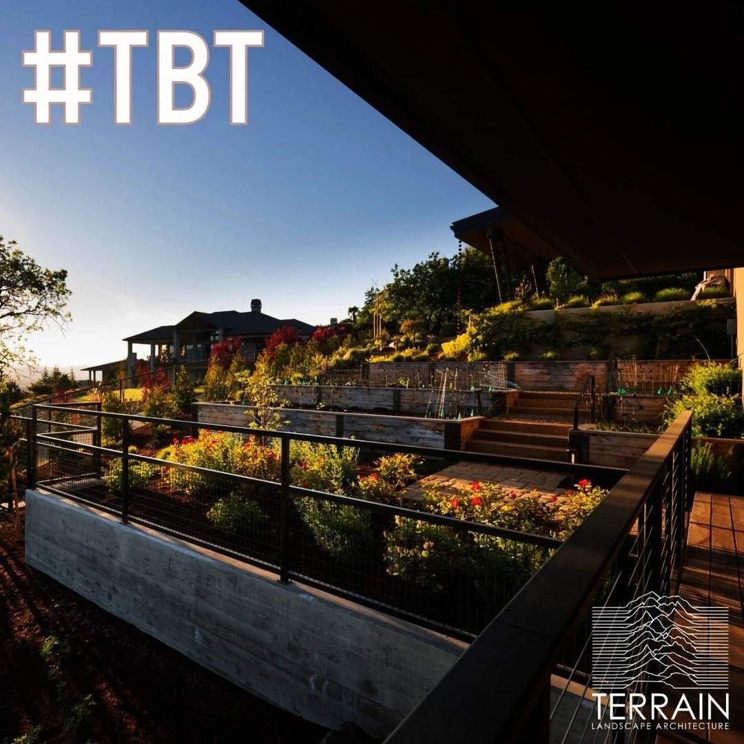 #ThrowBack to one of our earliest High End Residential Projects in Ashland.  This garden maximizes growing and lounge space on that sweet sunny spot some Ashland hillside owners are lucky to have!