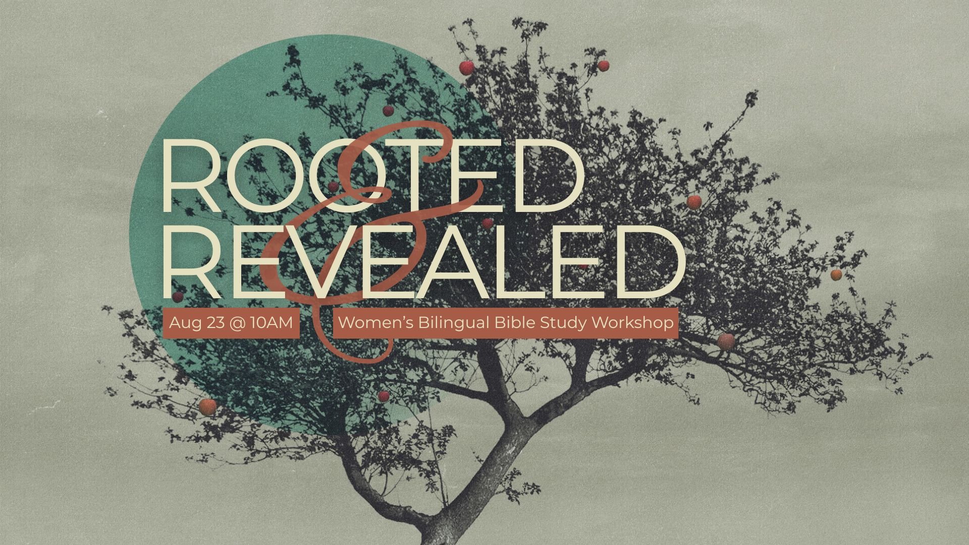 Rooted & Revealed | Women's Bilingual Bible Study Workshop