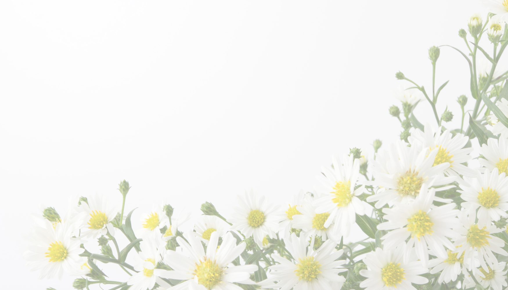 Human Design — Untangle Happiness