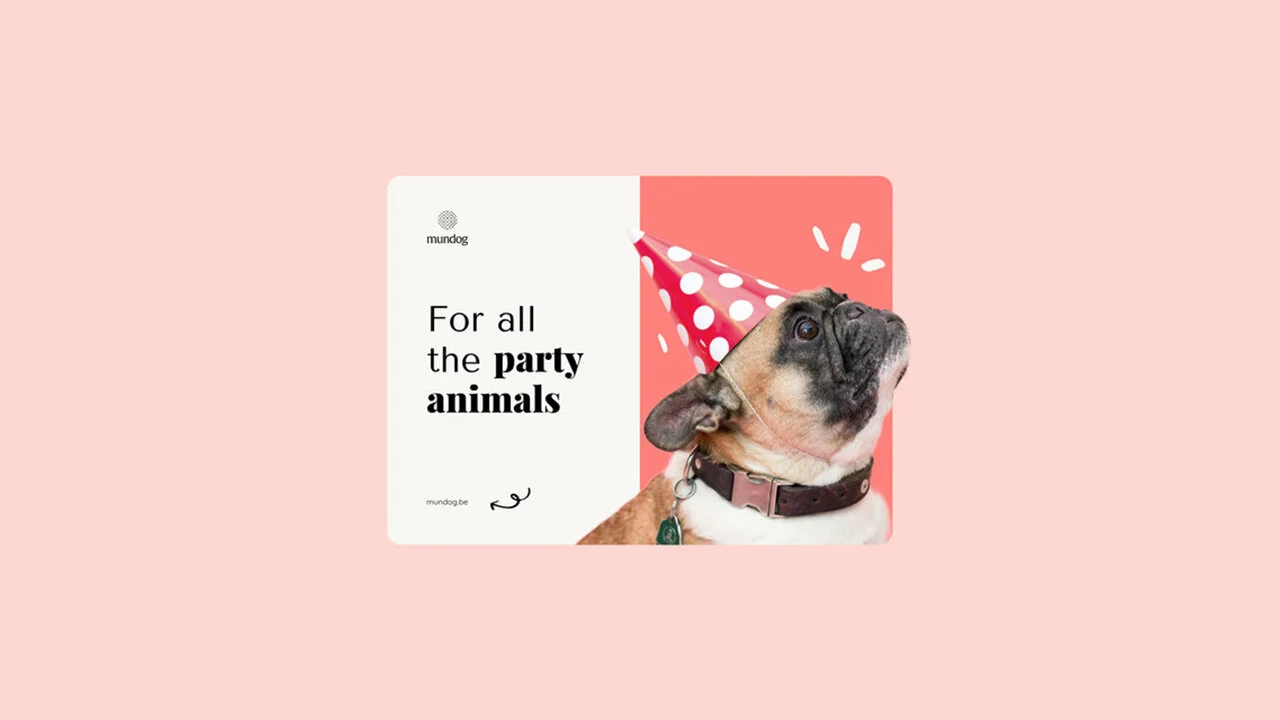 Mundog / Branding