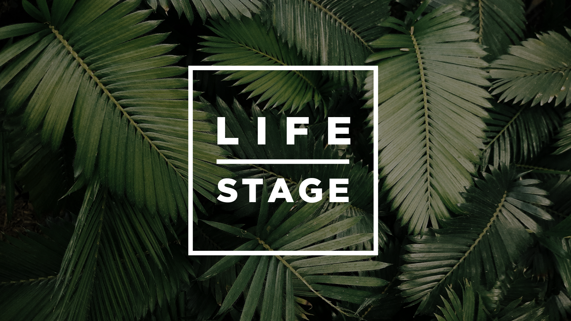 LifeStage_Logo.ai.png