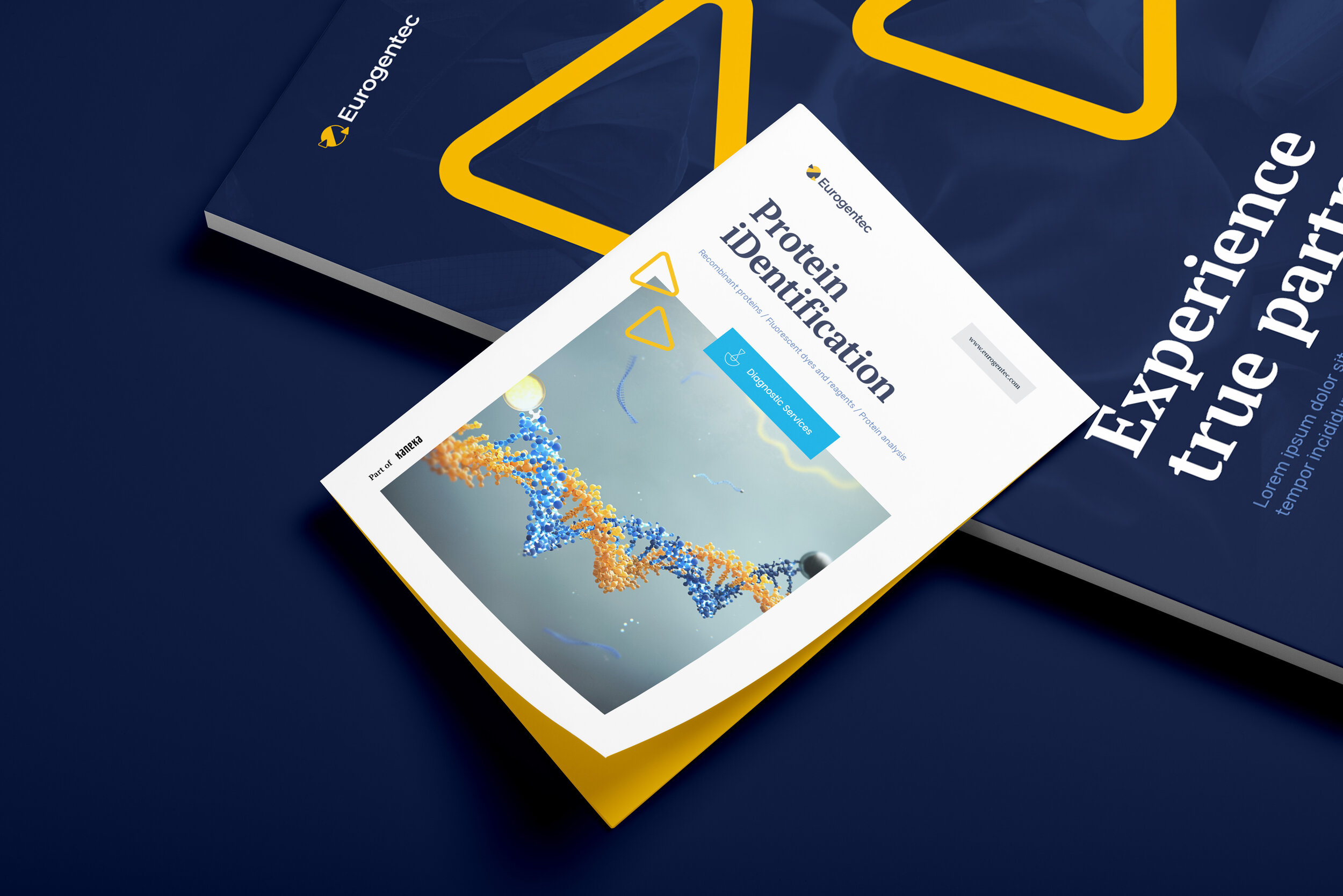 EUR_CS_Brochure_v01.jpg