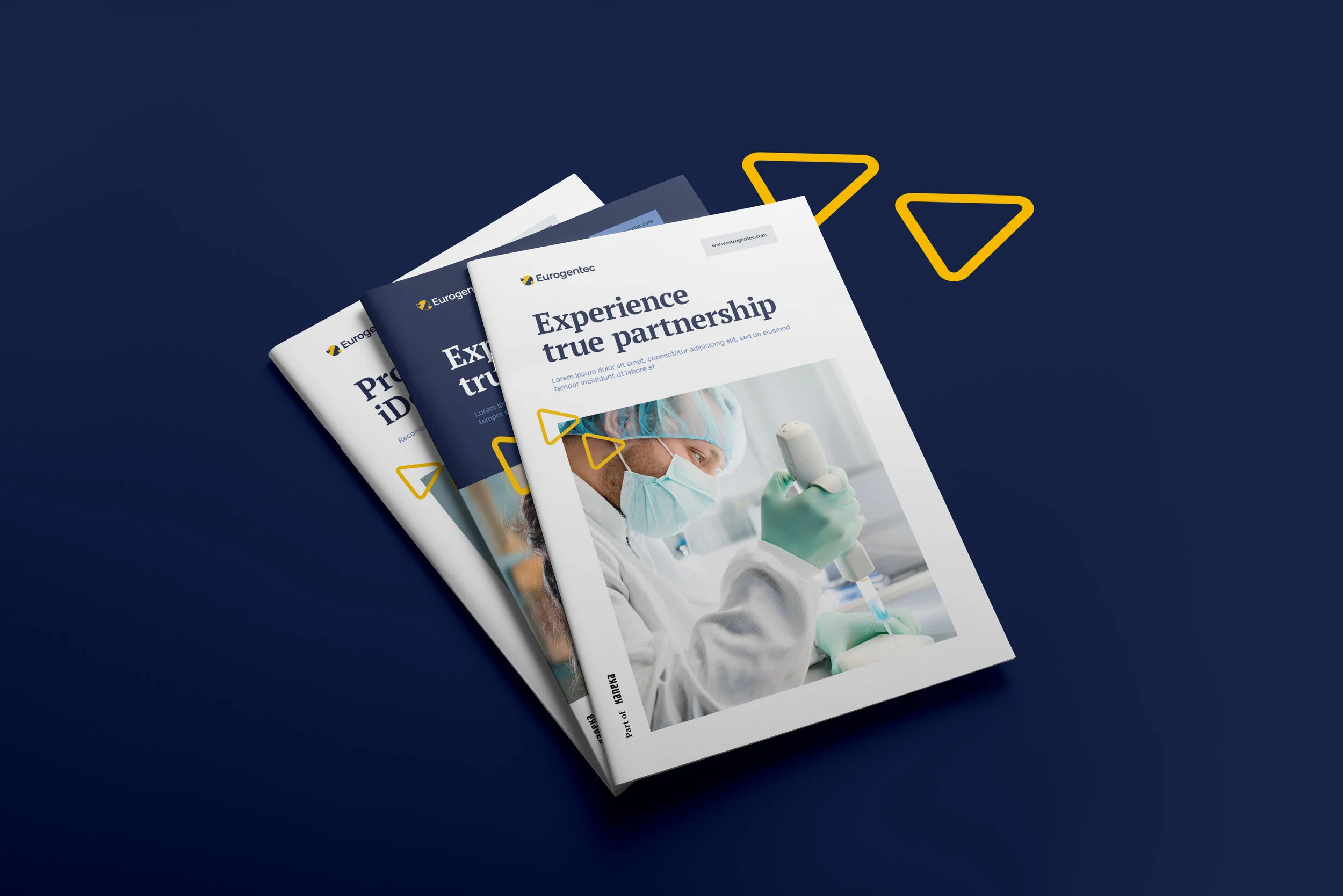 EUR_CS_Brochure_v02.jpg