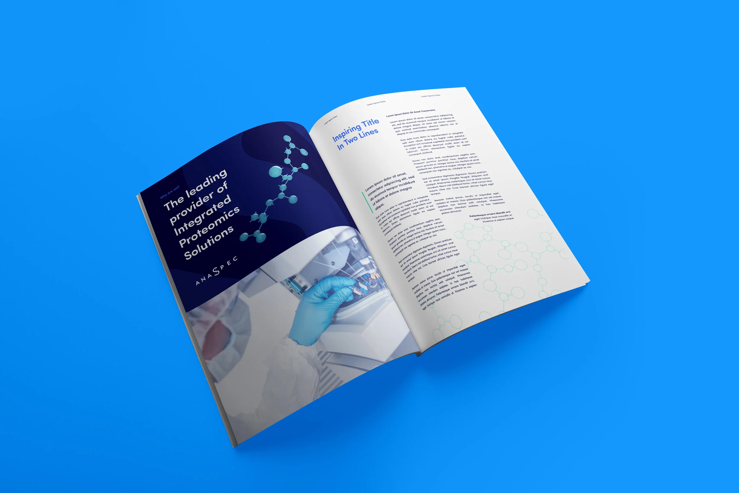 ANA_Ident_Brochure_v_03_3.jpg