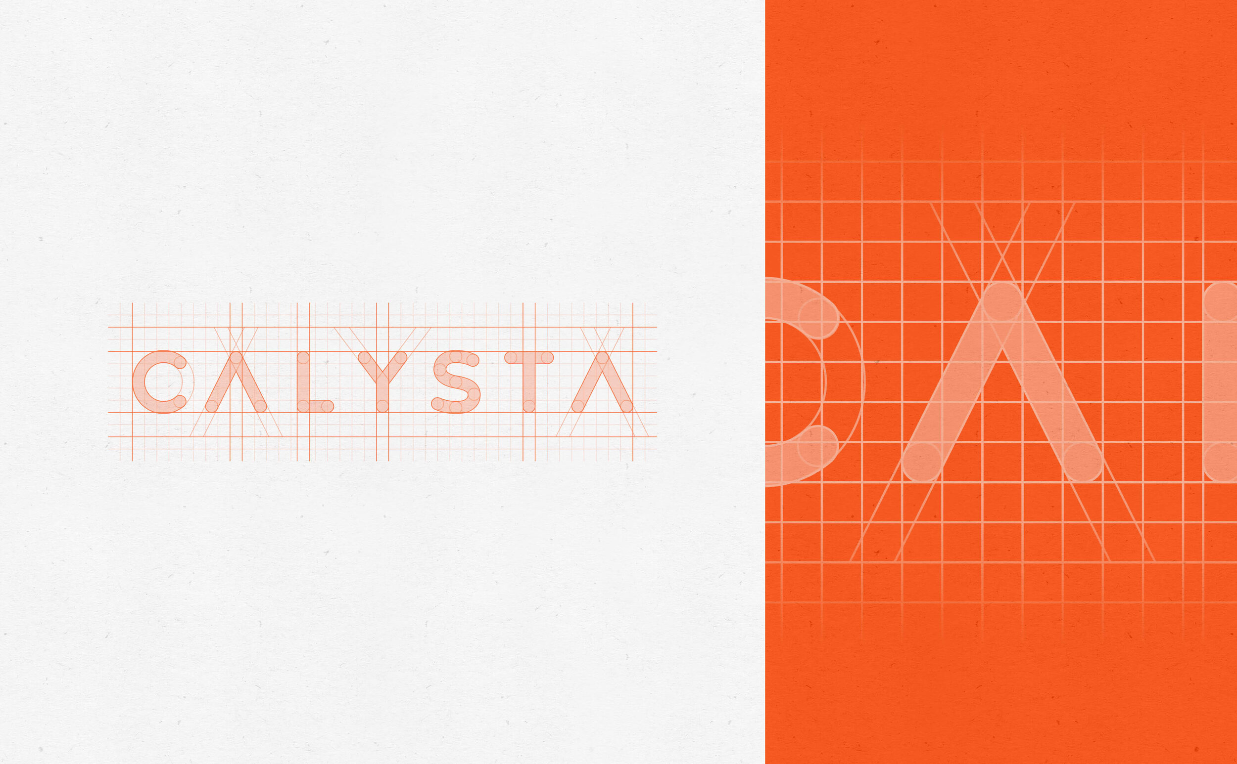 CAL_CS_Logo_01.jpg