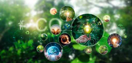 When Should a Biotech or Life Science Company Hire a Fractional CBO or CSO? Five Signs It's Time