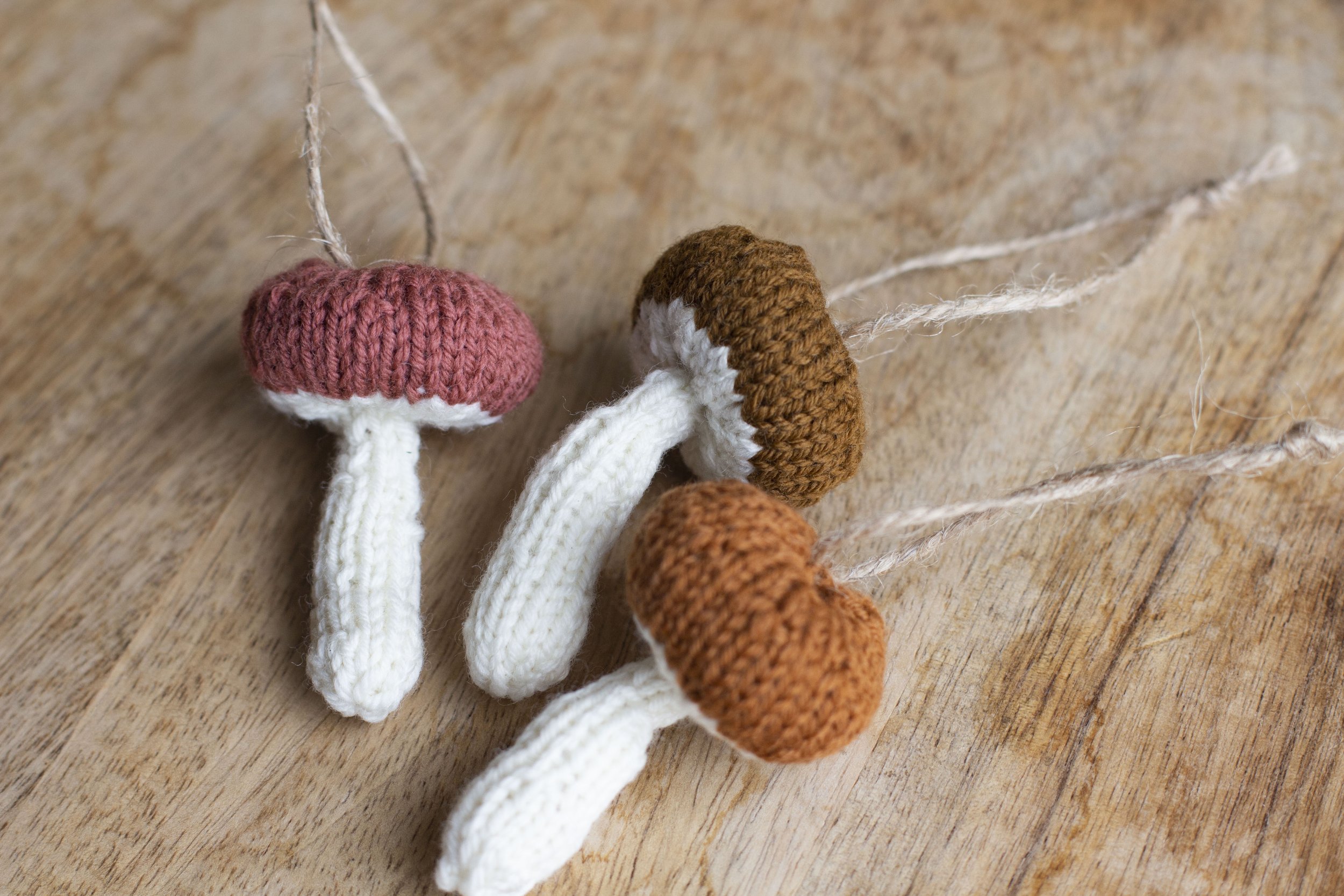 Wool felt mushroom wall hanging in a 4 inch embroidery hoop