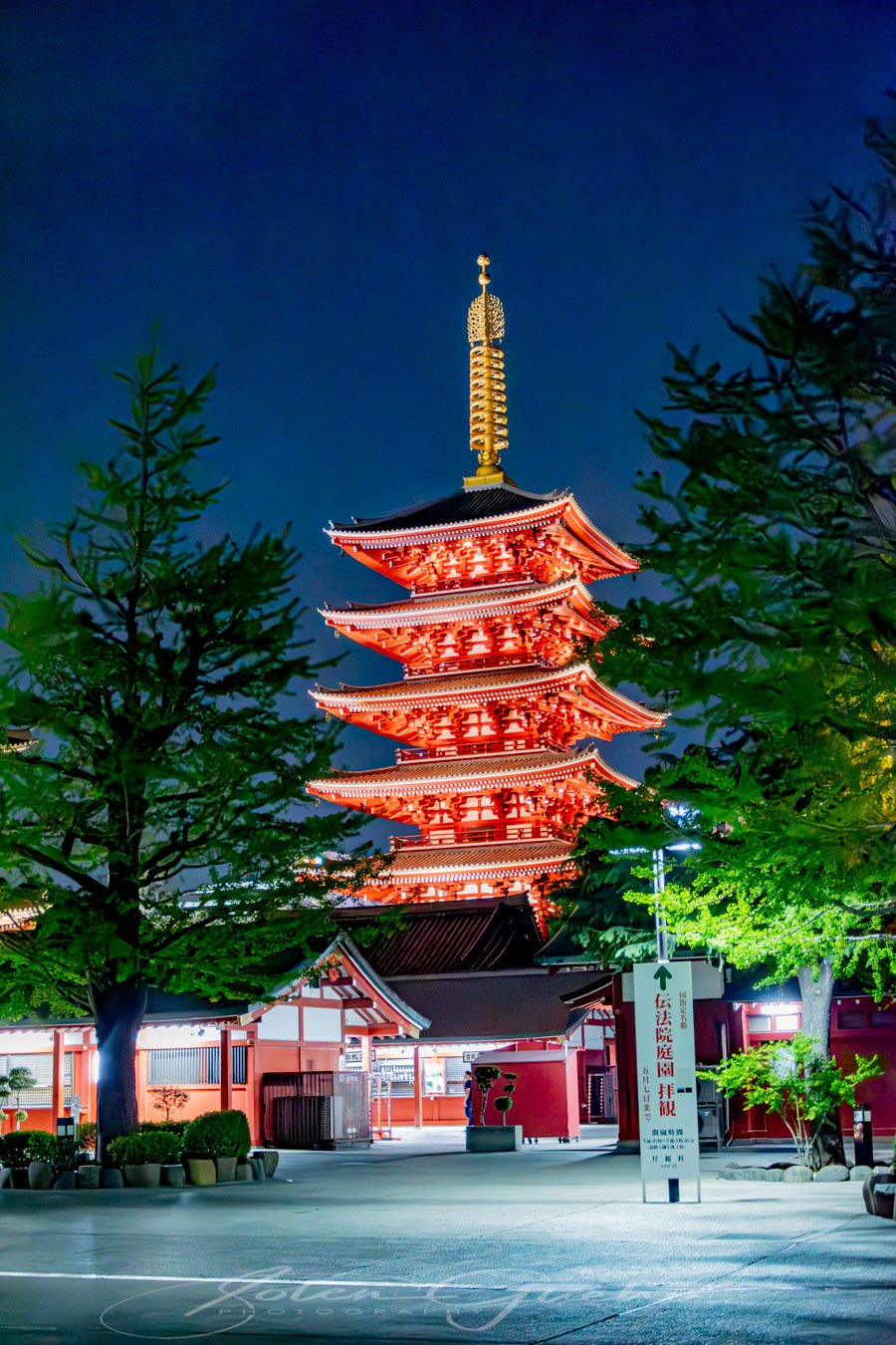 DSC_5423-Avec accentuation-Bruit.JPG