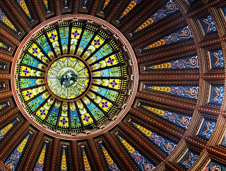 Illinois Spina Bifida Association Supports Illinois House Bill 4967 - The Disability Protections Conservation Act