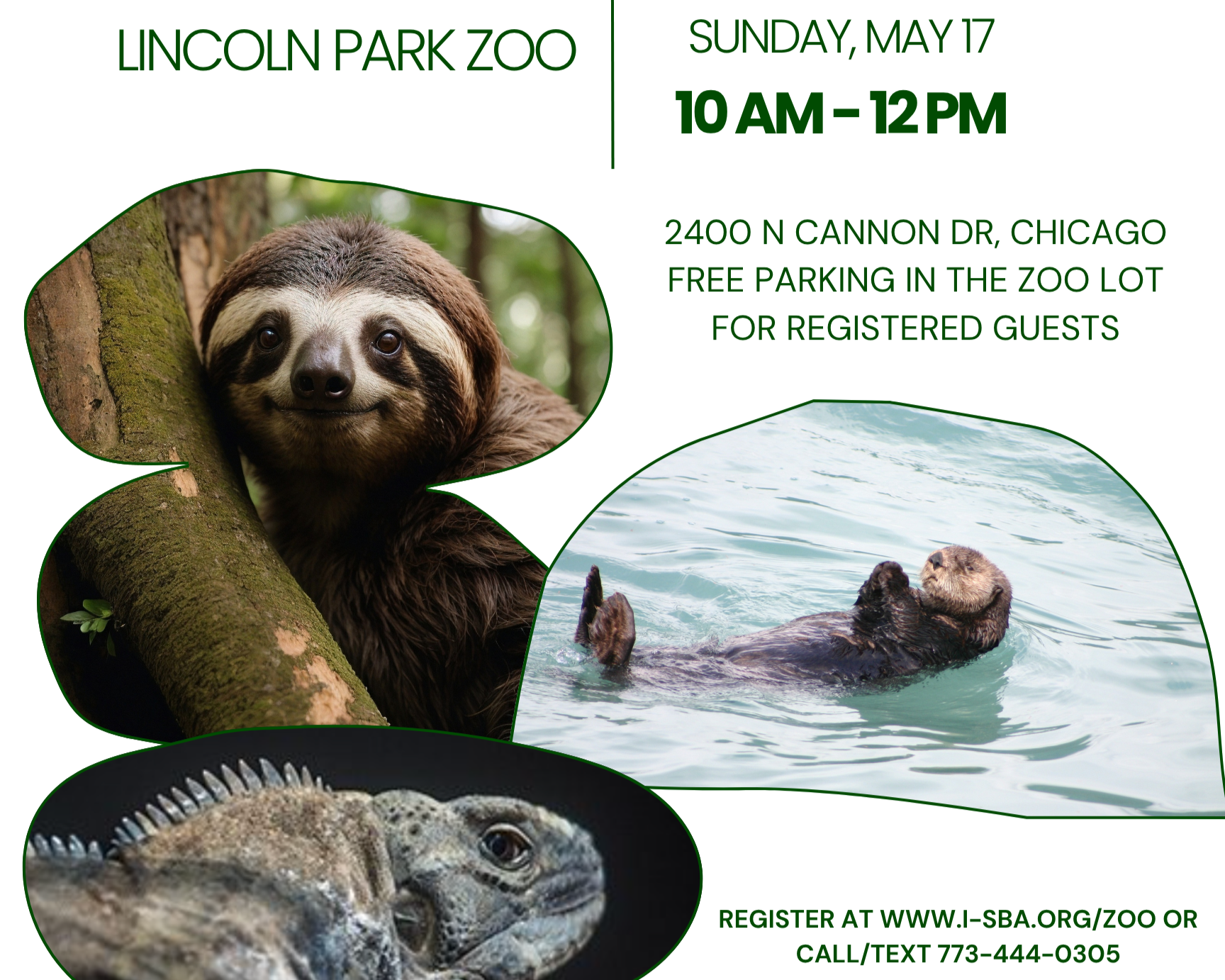 All Ages Free Outing At Lincoln Park Zoo