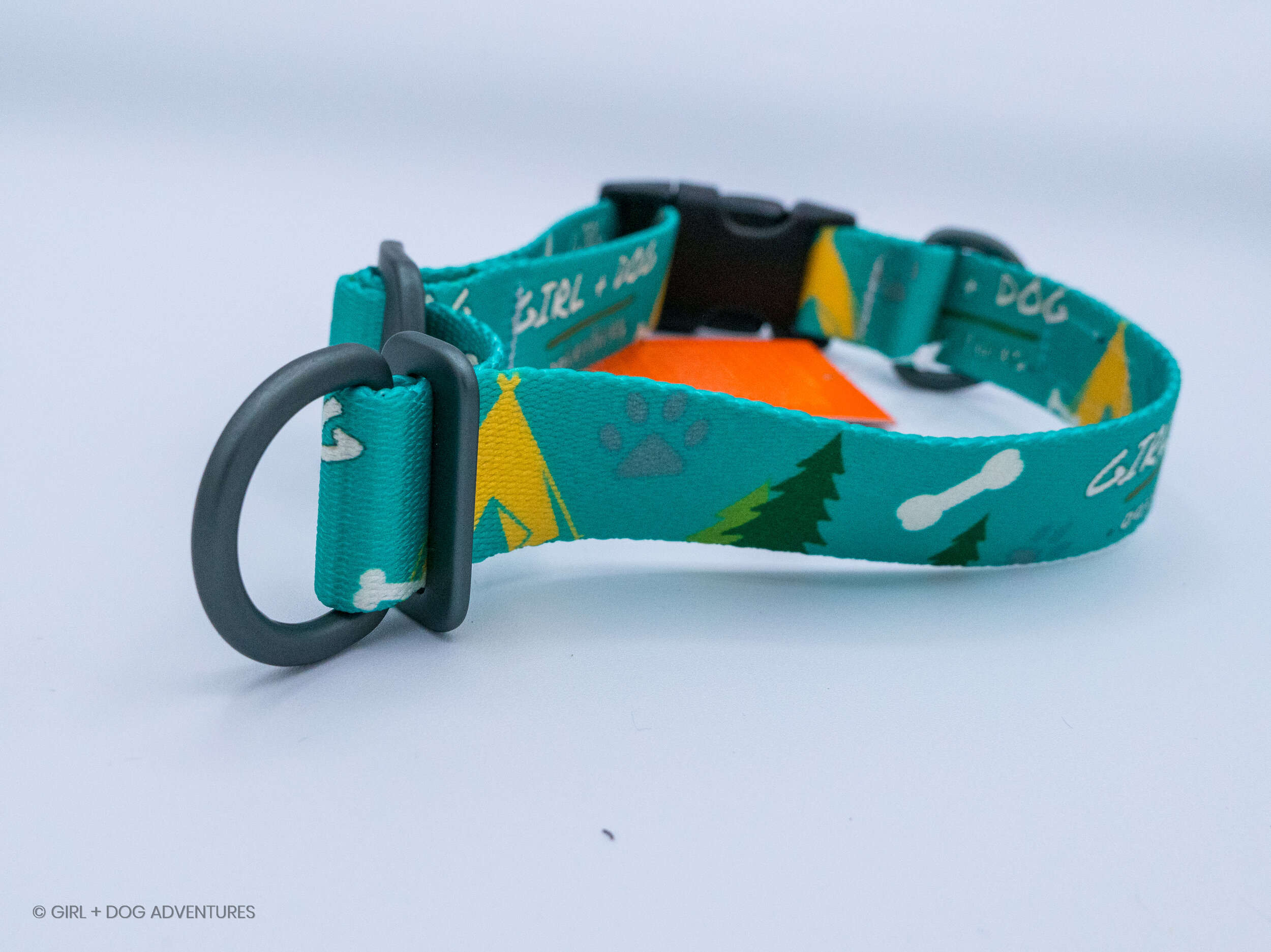 Girl + Dog Adventures Everyday Collar™ by Stunt Puppy