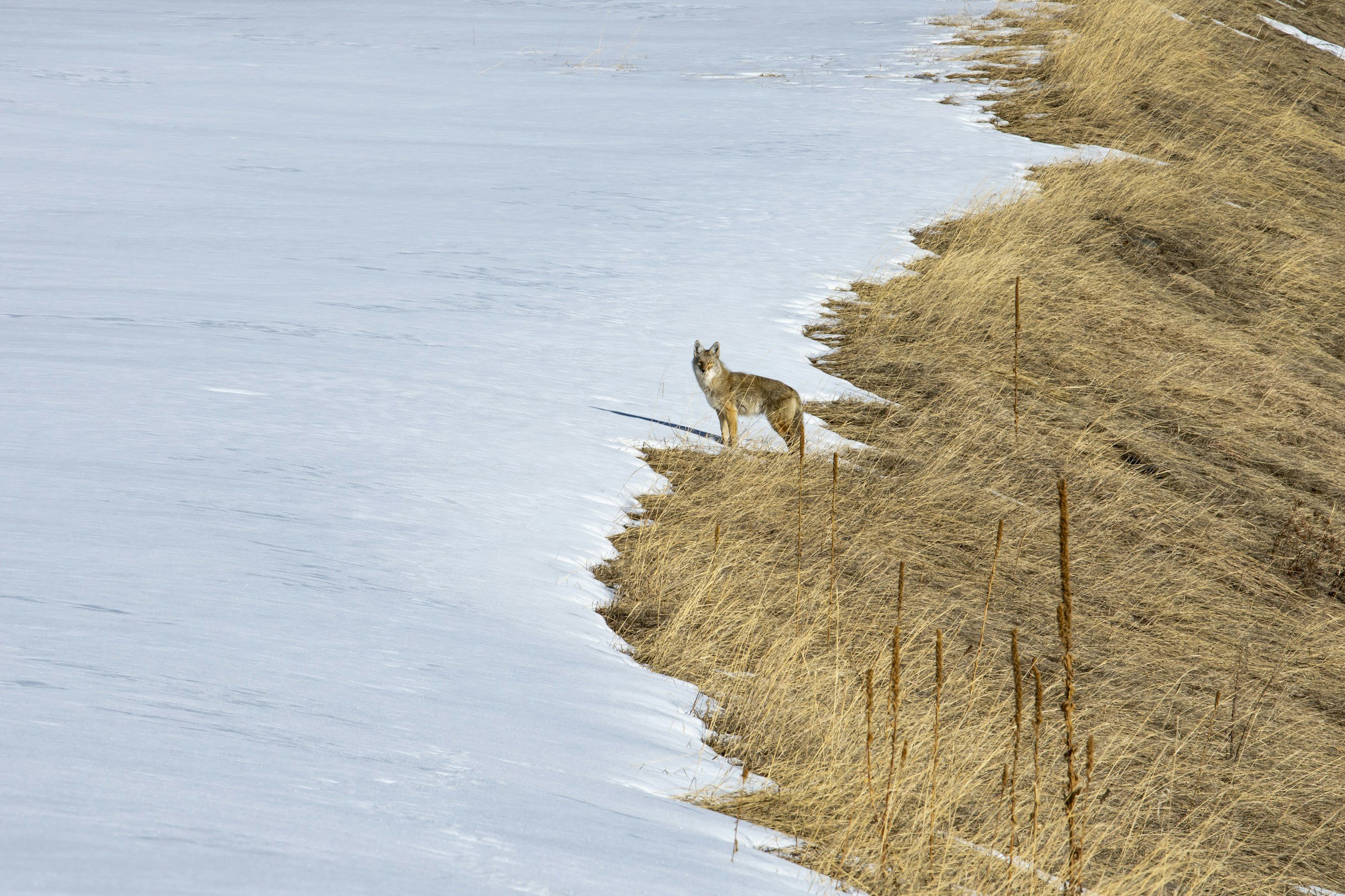 South Dakota Hunting