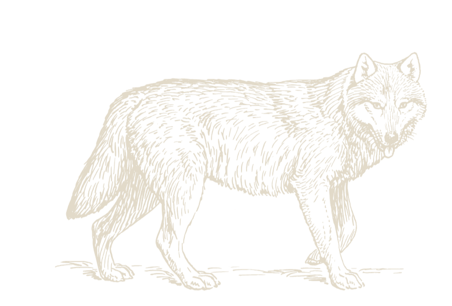 South Dakota Coyote Hunting