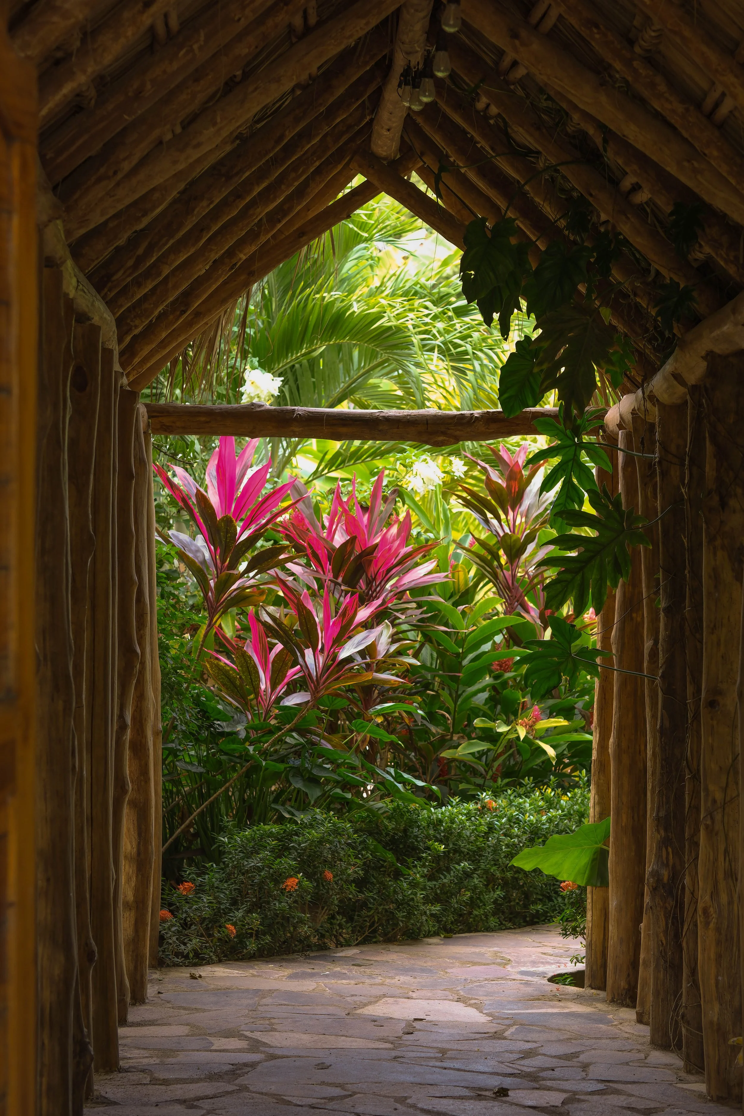 surf retreat in nicaragua at yoga retreat center