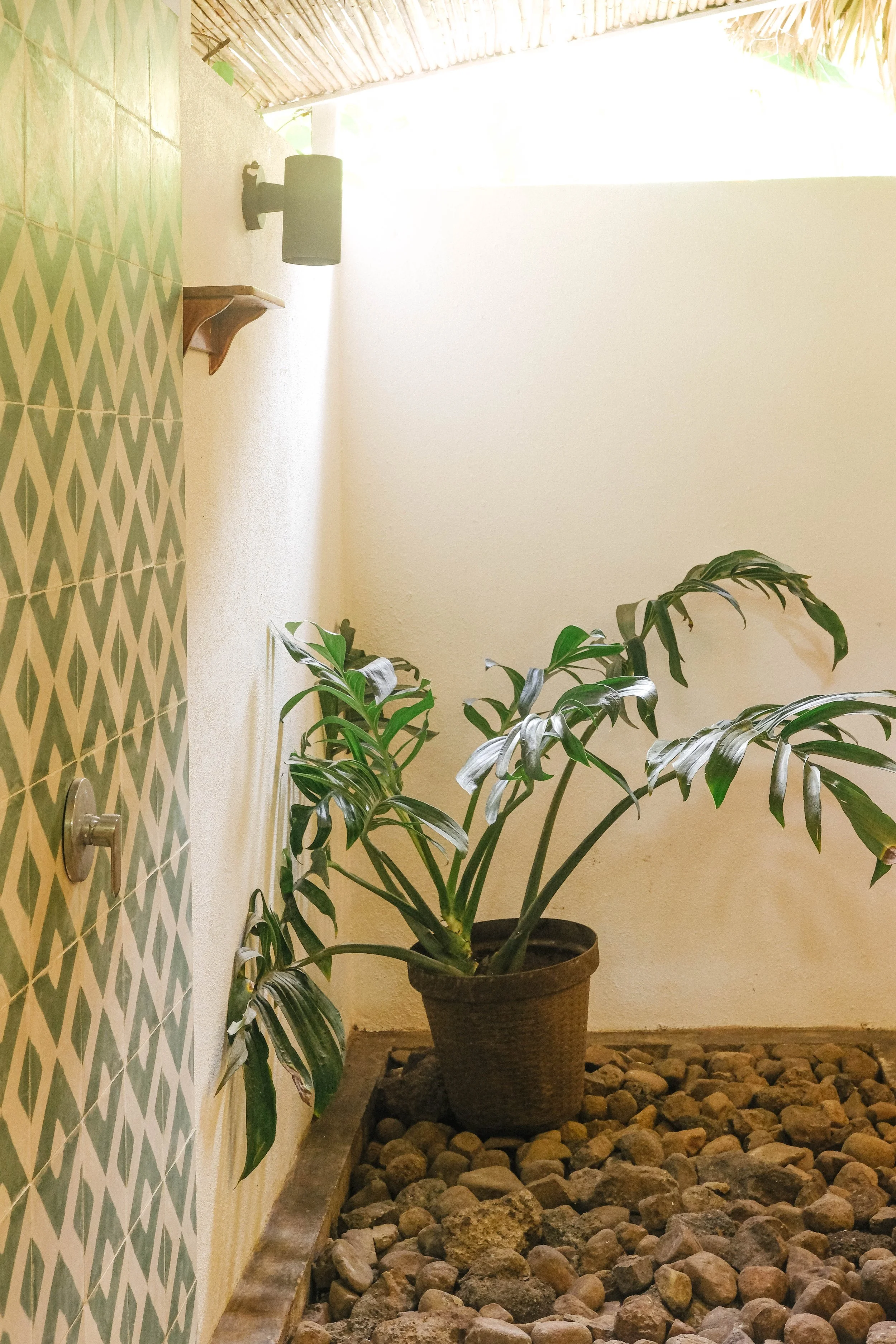 Hot water shower with green patterned tile and a potted plant in a covered outdoor bathroom at a Nicaragua surf and yoga retreat cabaña
