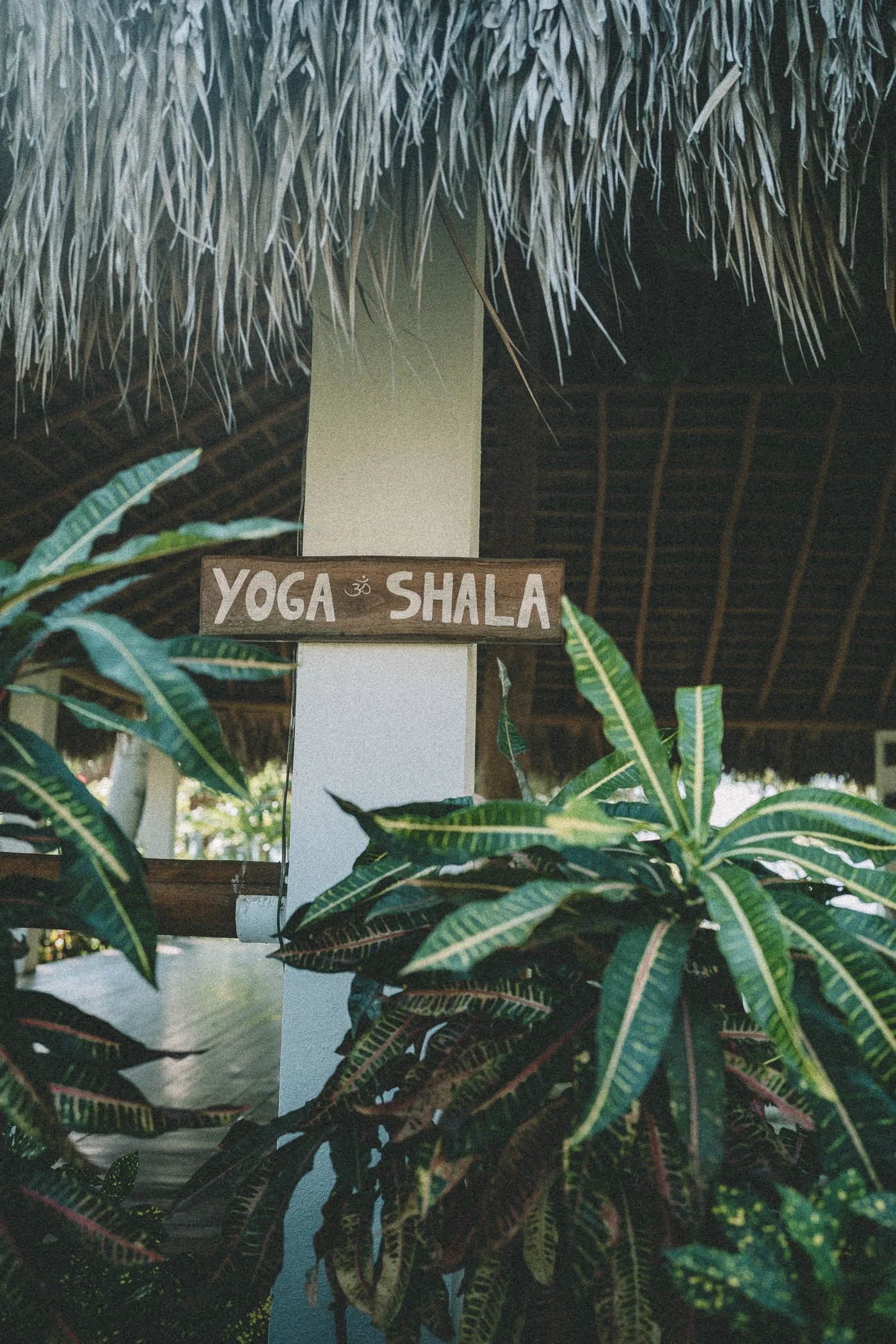Hand-painted Yoga Shala sign framed by tropical croton plants under a thatched roof at a Nicaragua surf and yoga retreat