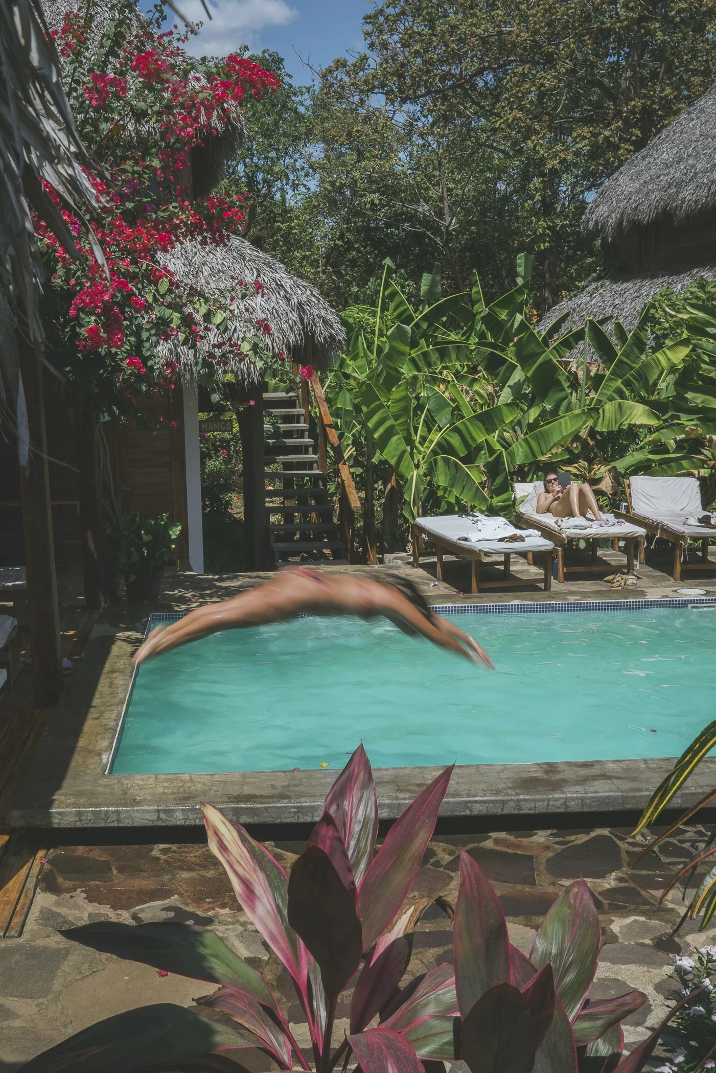 Guest diving into the private pool by thatched cabañas and bougainvillea at a Nicaragua surf and yoga retreat