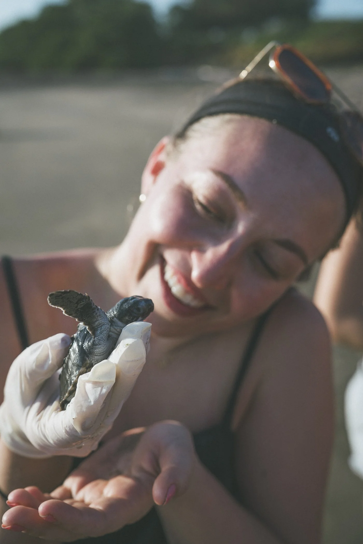 Retreat guest gently holding a baby sea turtle during a turtle release on the beach in Nicaragua