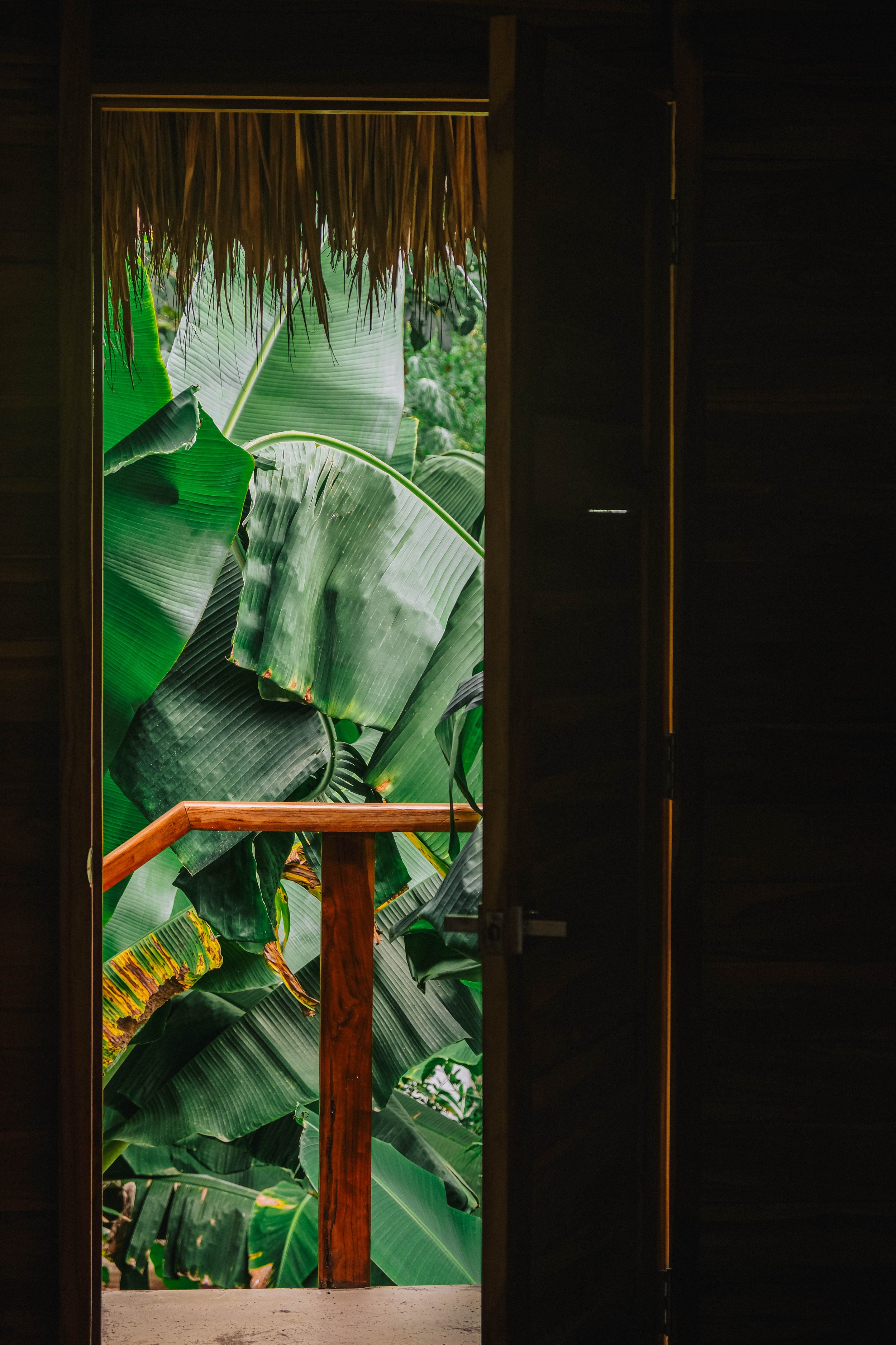 View of lush banana leaves from an upstairs cabaña doorway framed by a wood railing at a Nicaragua surf and yoga retreat