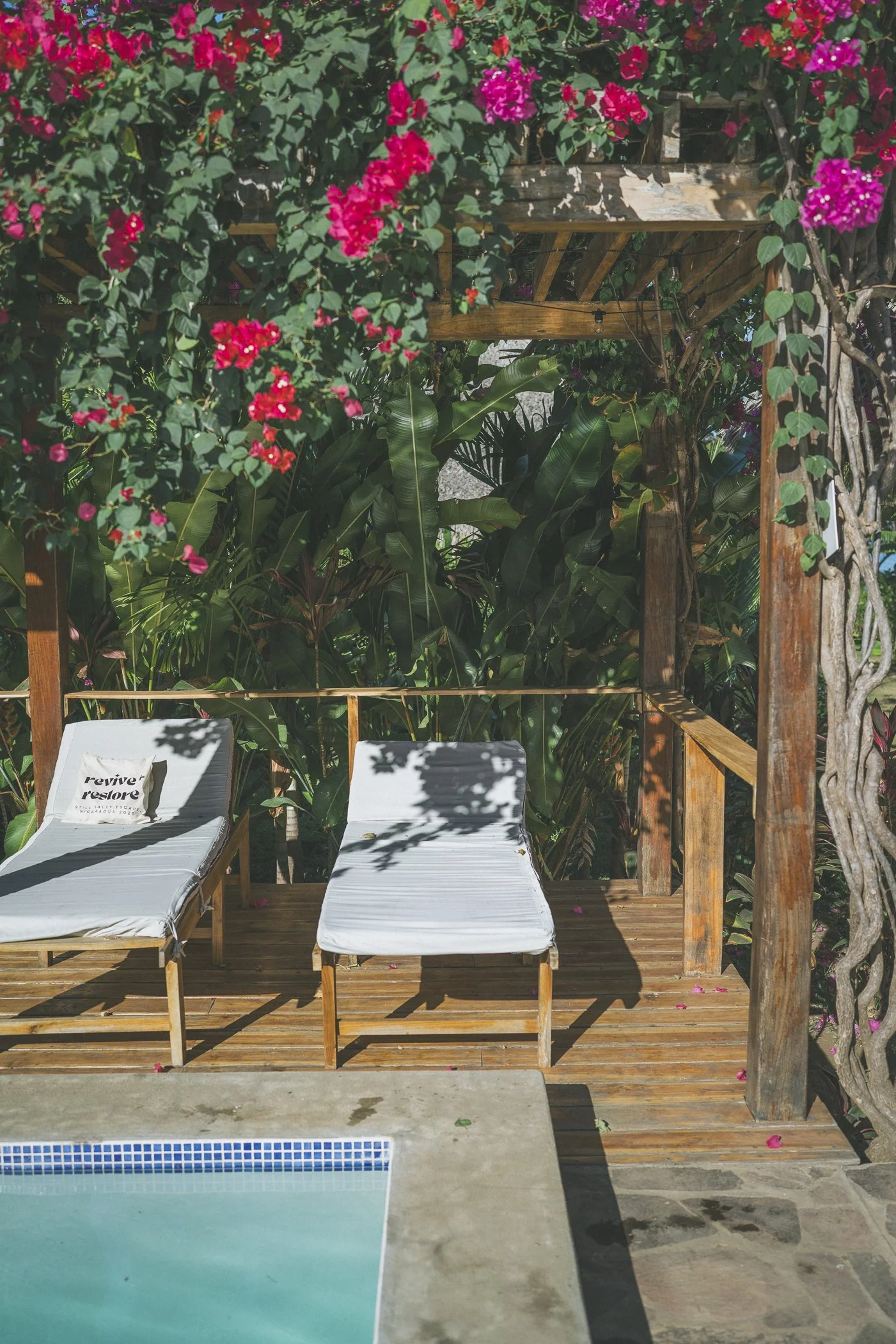Poolside lounge chairs on a wood deck beneath a bougainvillea-draped pergola at Still Salty Escape nature hotel in northern Nicaragua