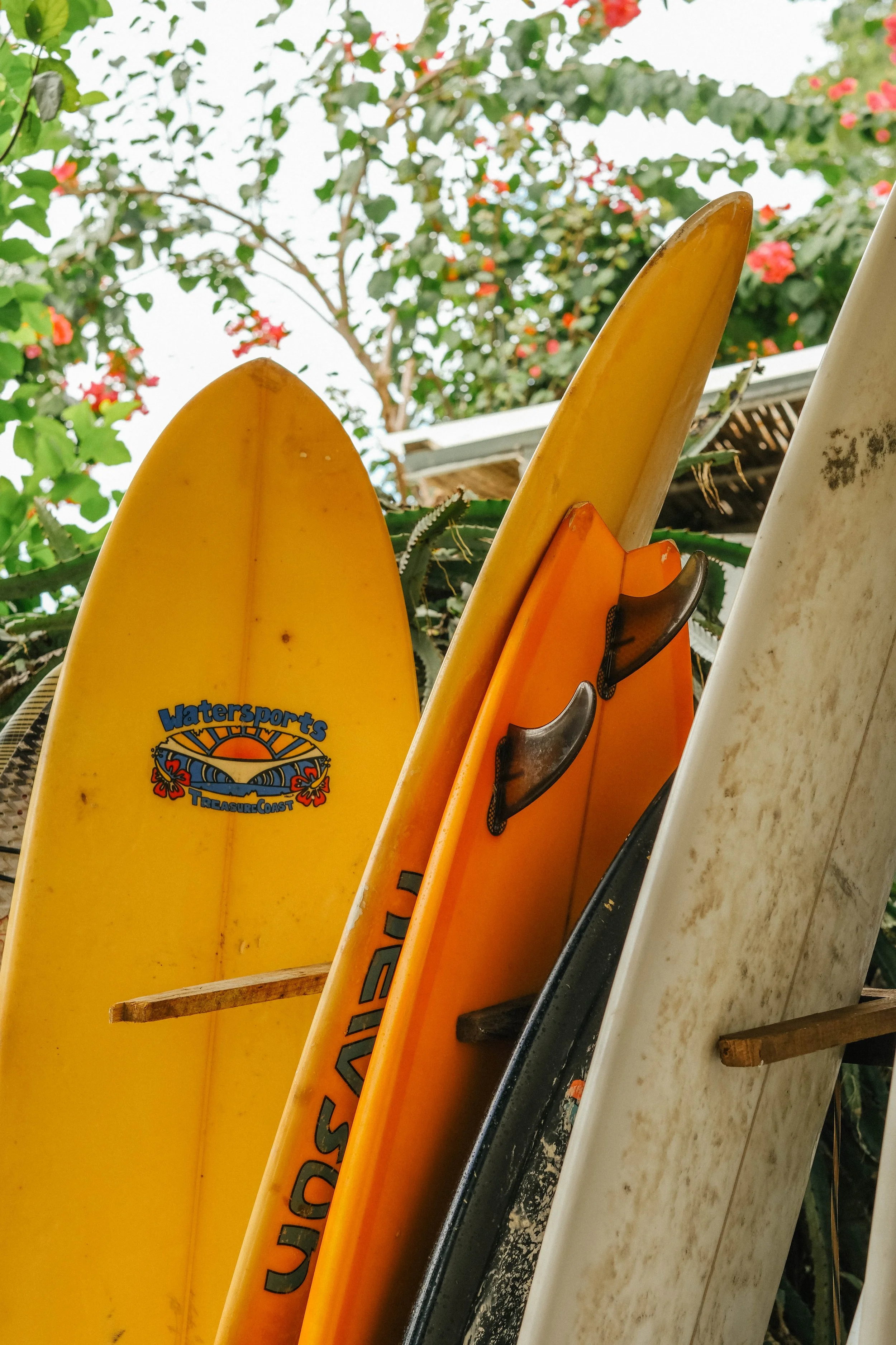 Surfboards lined up on beach in Nicaragua ready for lessons