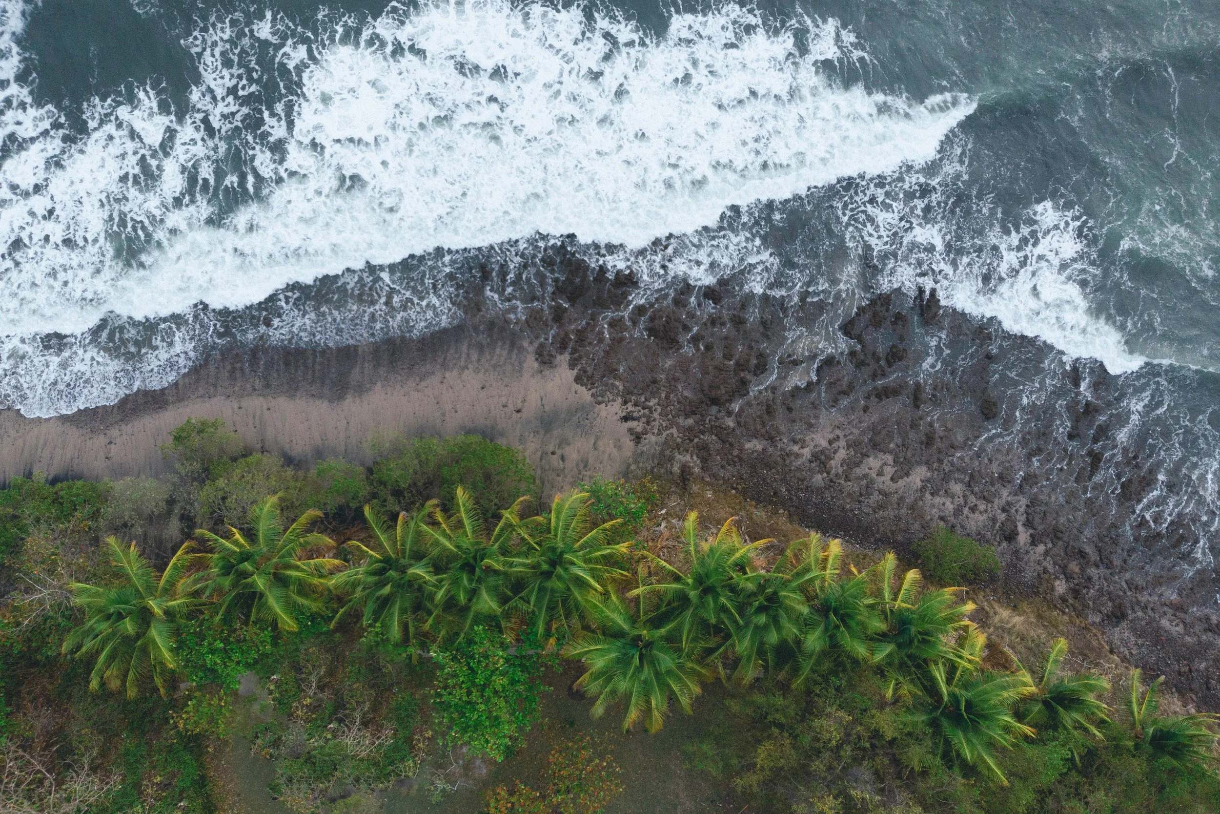 Aerial view of Pacific waves breaking along the palm-lined rocky shoreline at Still Salty Escape in Nicaragua