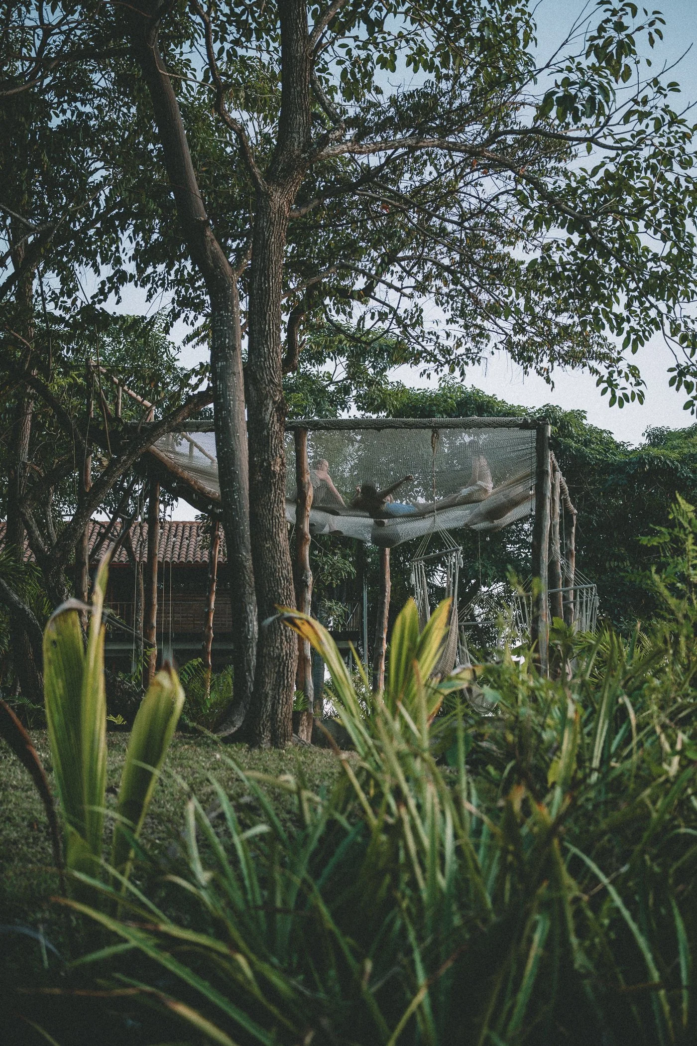 Guests relaxing in a large elevated net hammock among the trees at a Nicaragua surf and yoga retreat