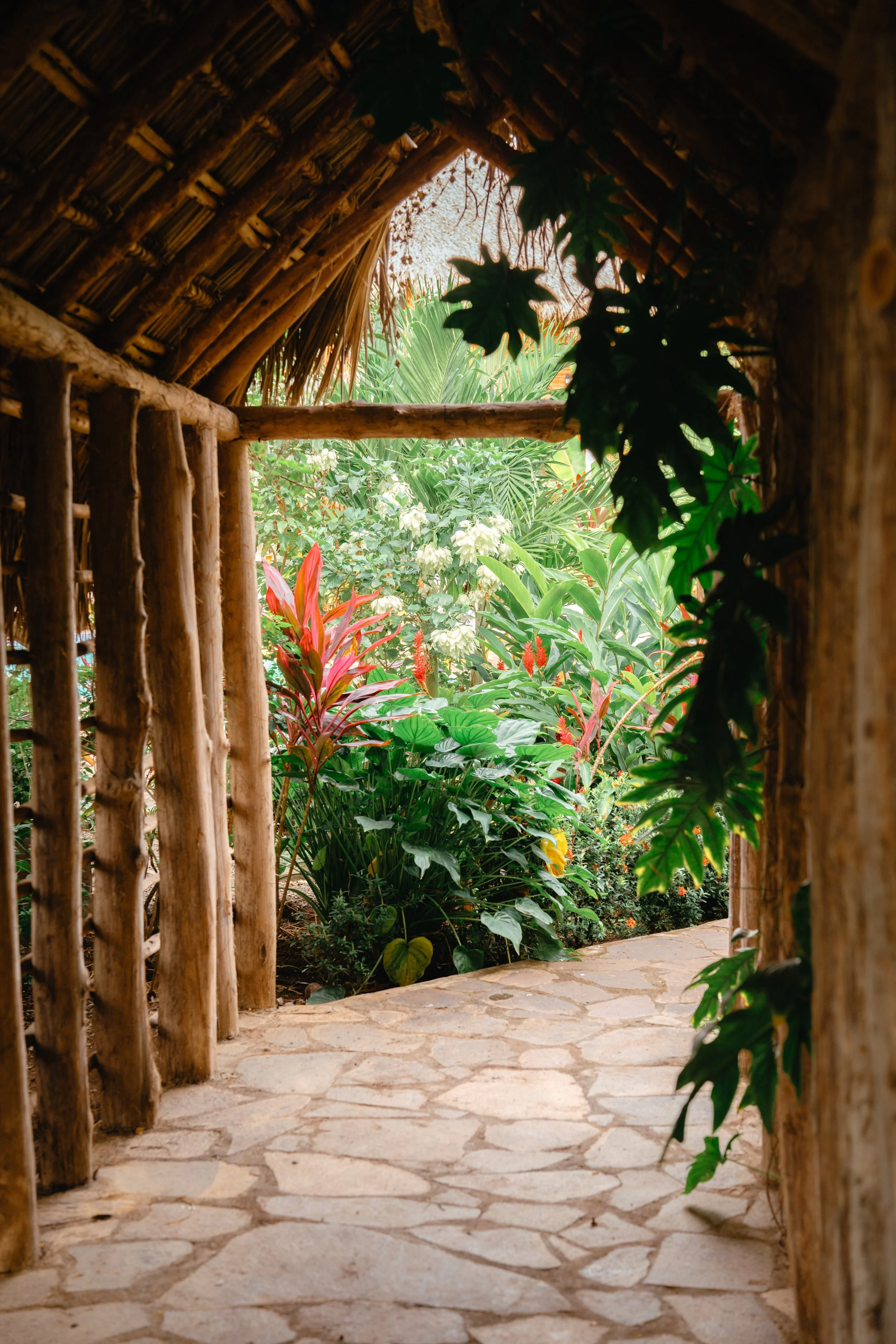Stone path leading through lush tropical gardens at a calm retreat venue in Nicaragua