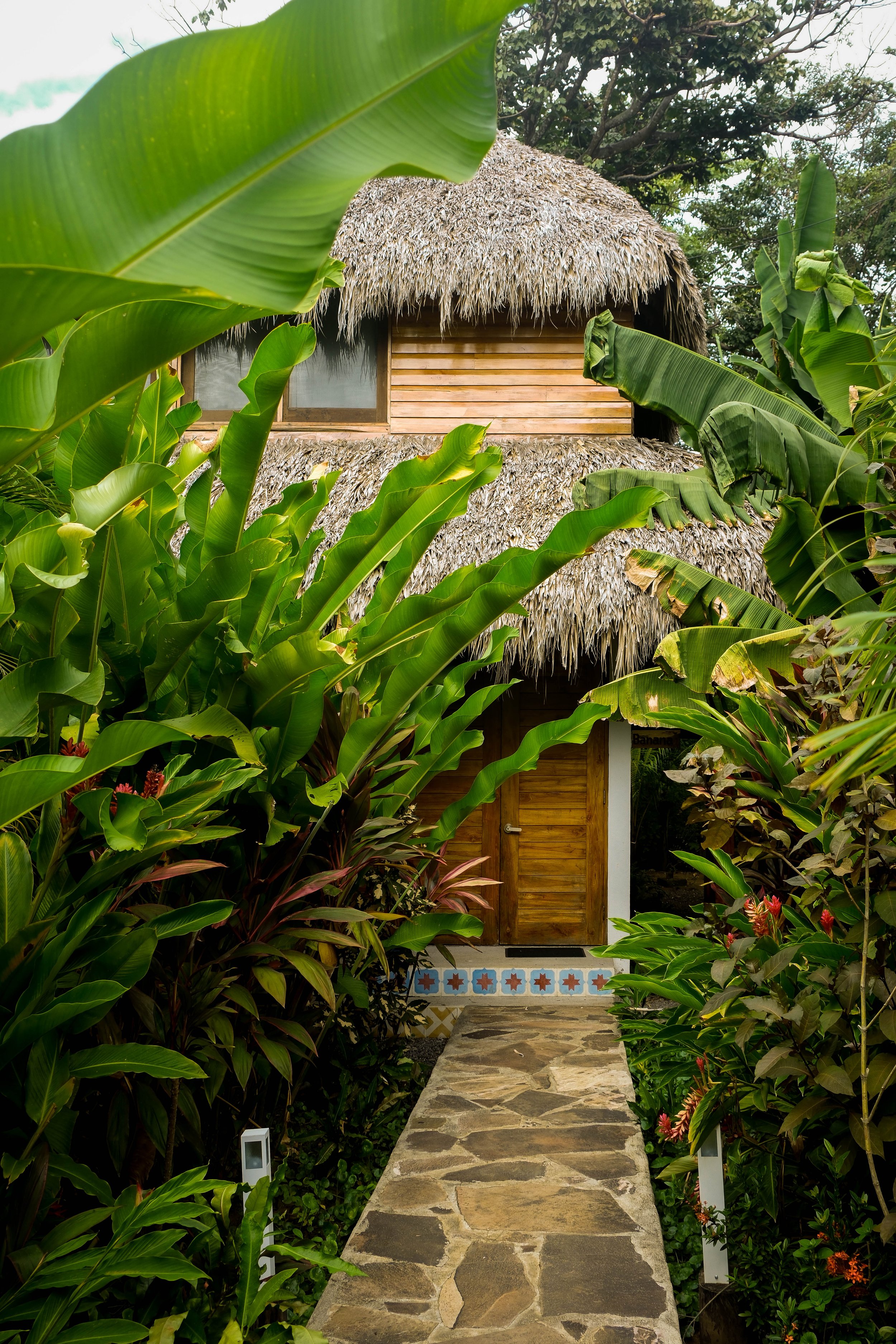 yoga retreat center nicaragua with tropical garden cabanas
