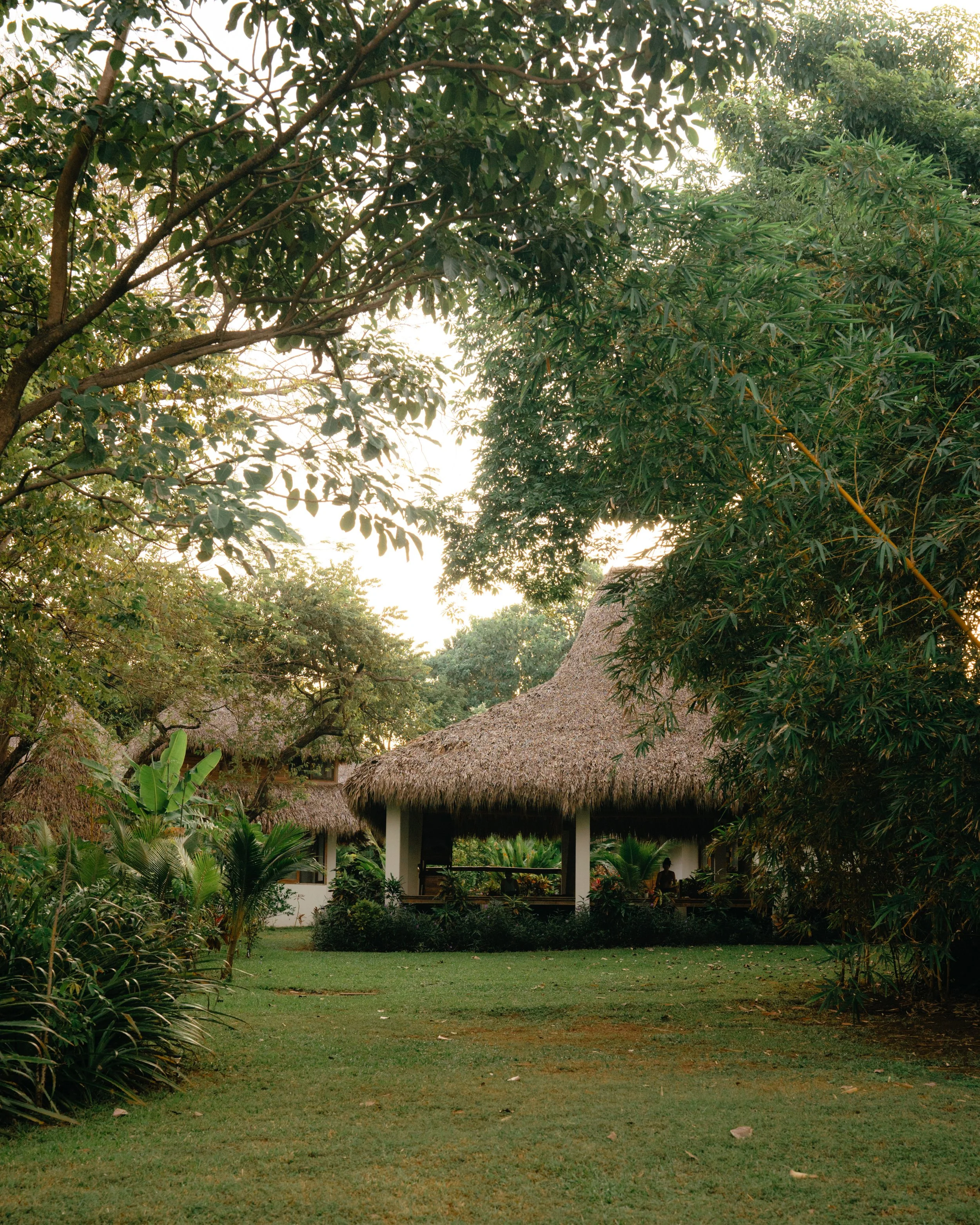 Open-air thatched yoga shala set among tropical gardens and trees at Still Salty Escape surf and yoga retreat in Nicaragua